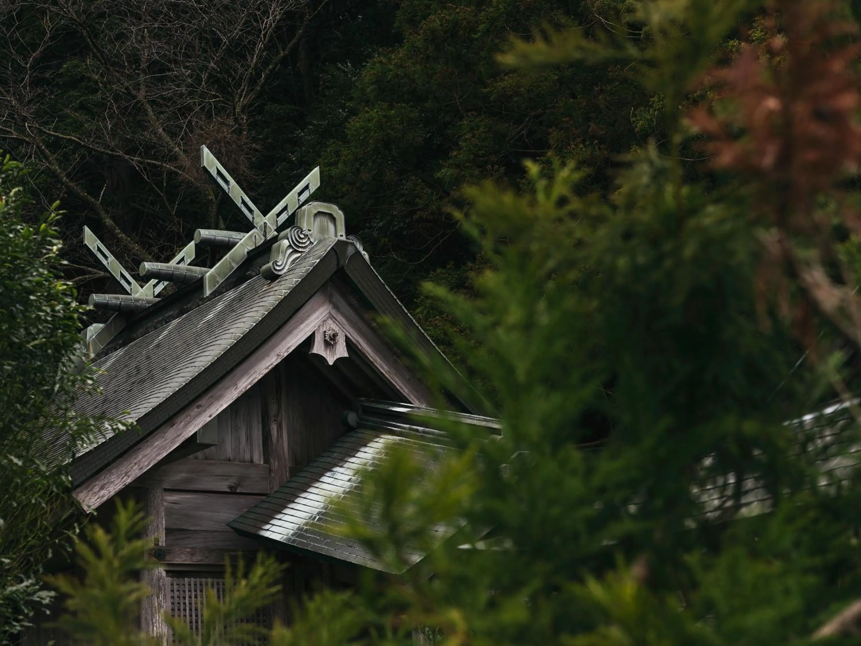 Other in RITA Izumo Sagiura