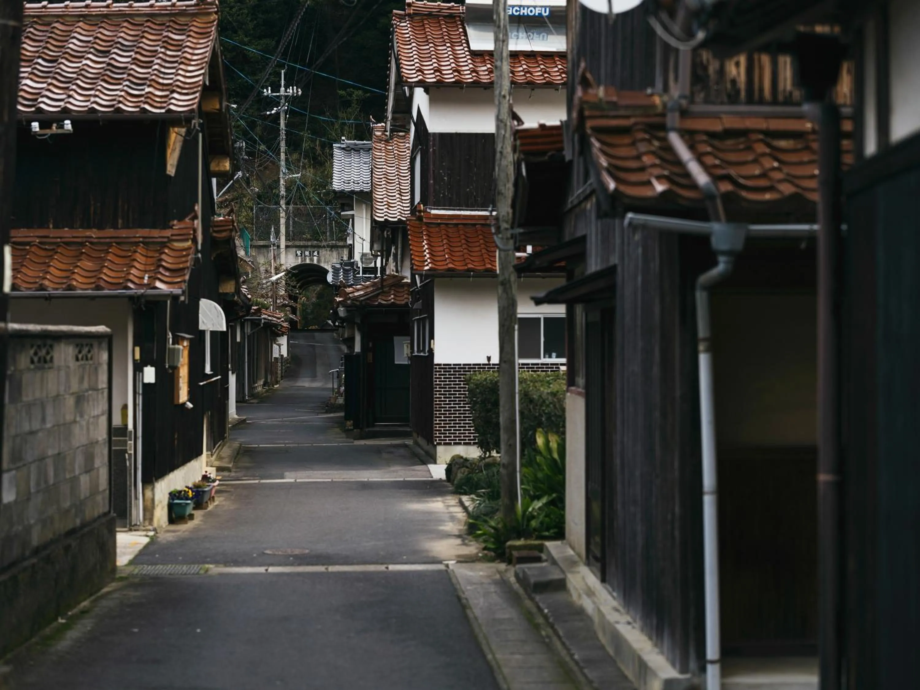 Other in RITA Izumo Sagiura