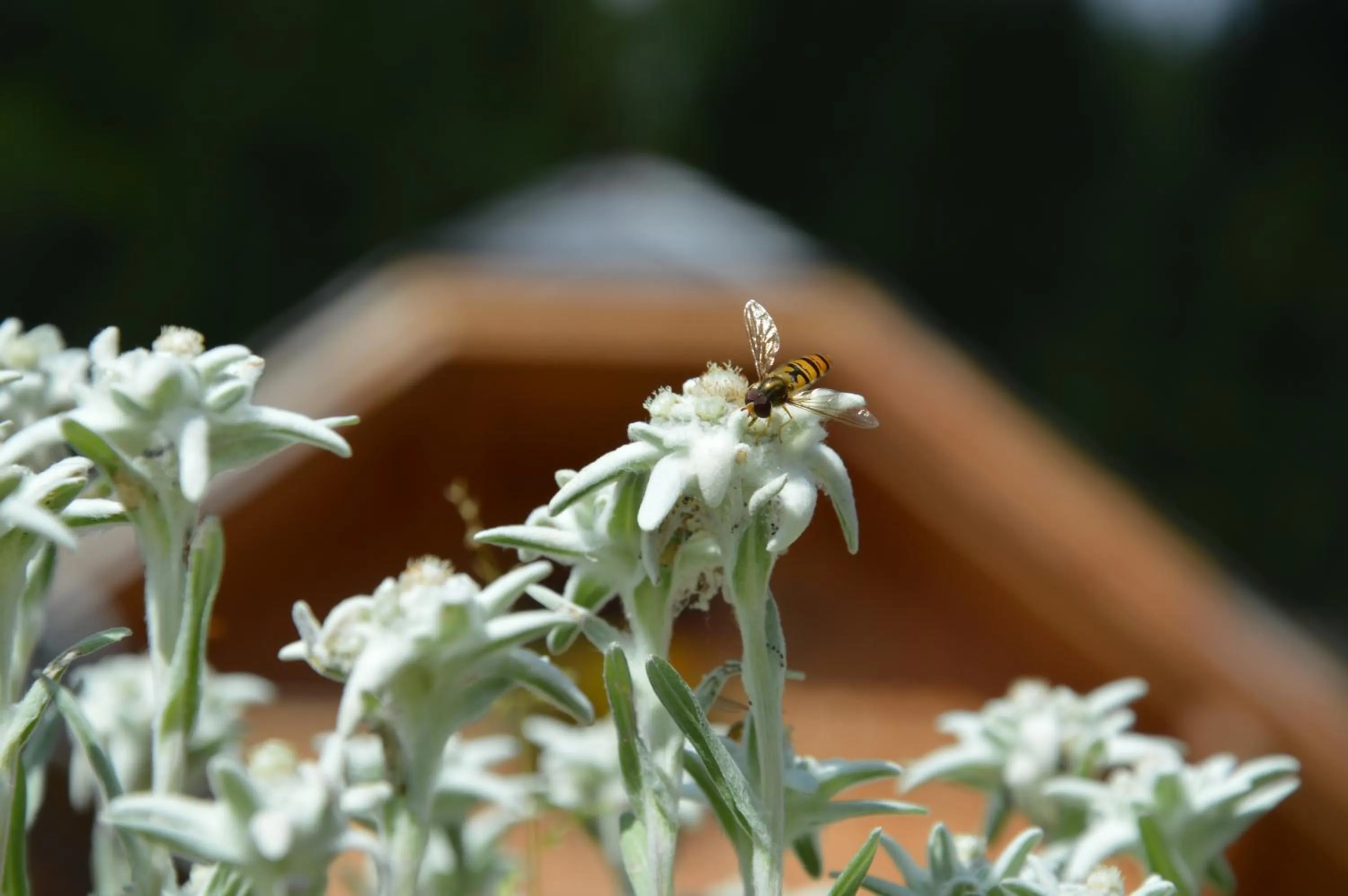 Other in Bergdorf Riesner