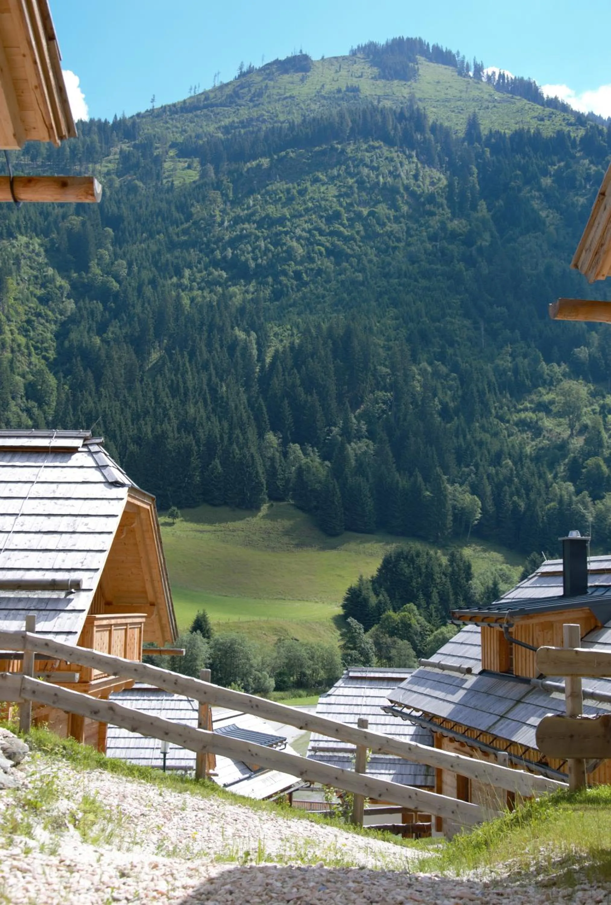 Natural landscape in Bergdorf Riesner