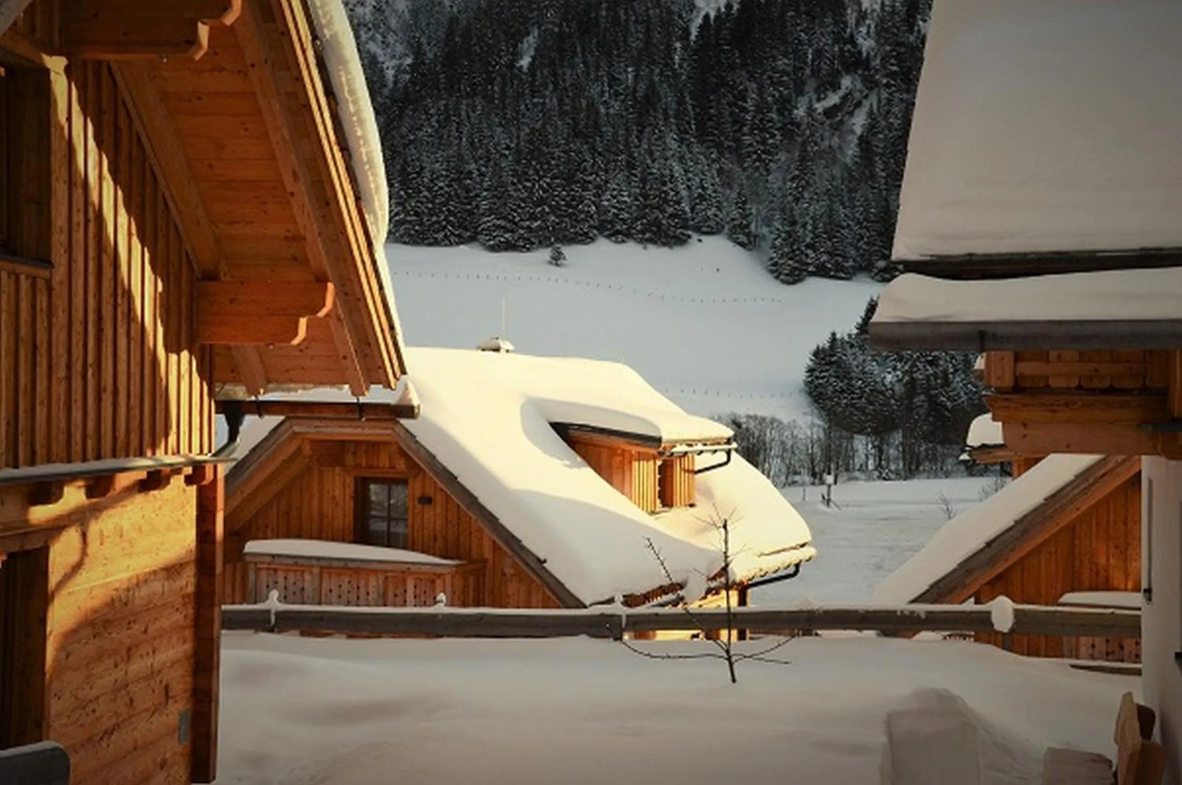 Property building in Bergdorf Riesner