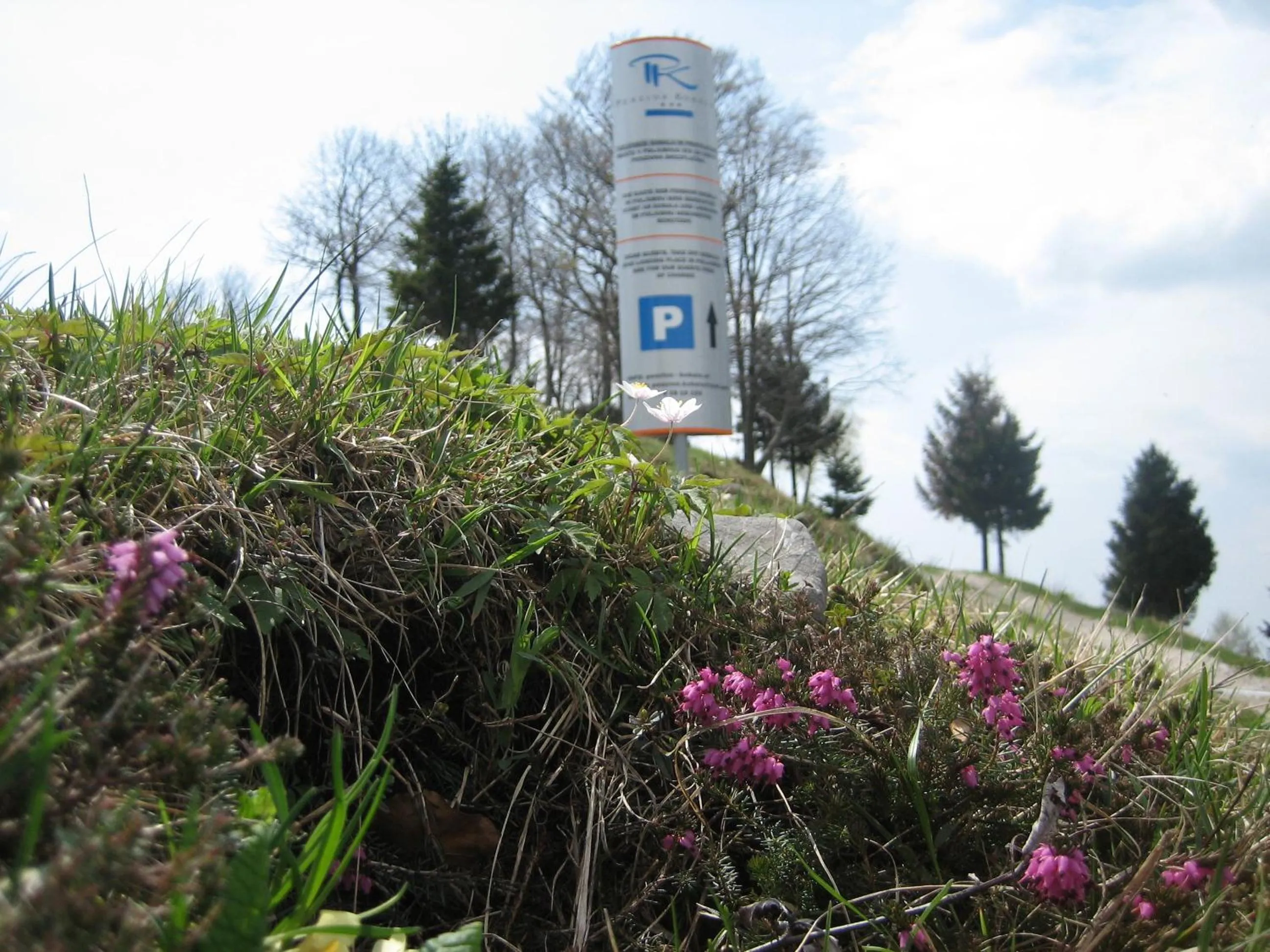 Garden in Hotel Penzion Kobala