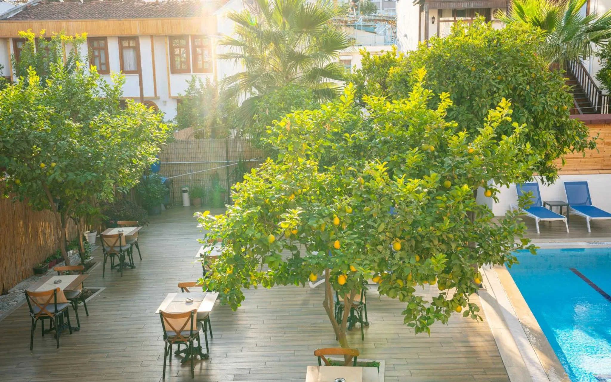 Restaurant/places to eat in oscar garden