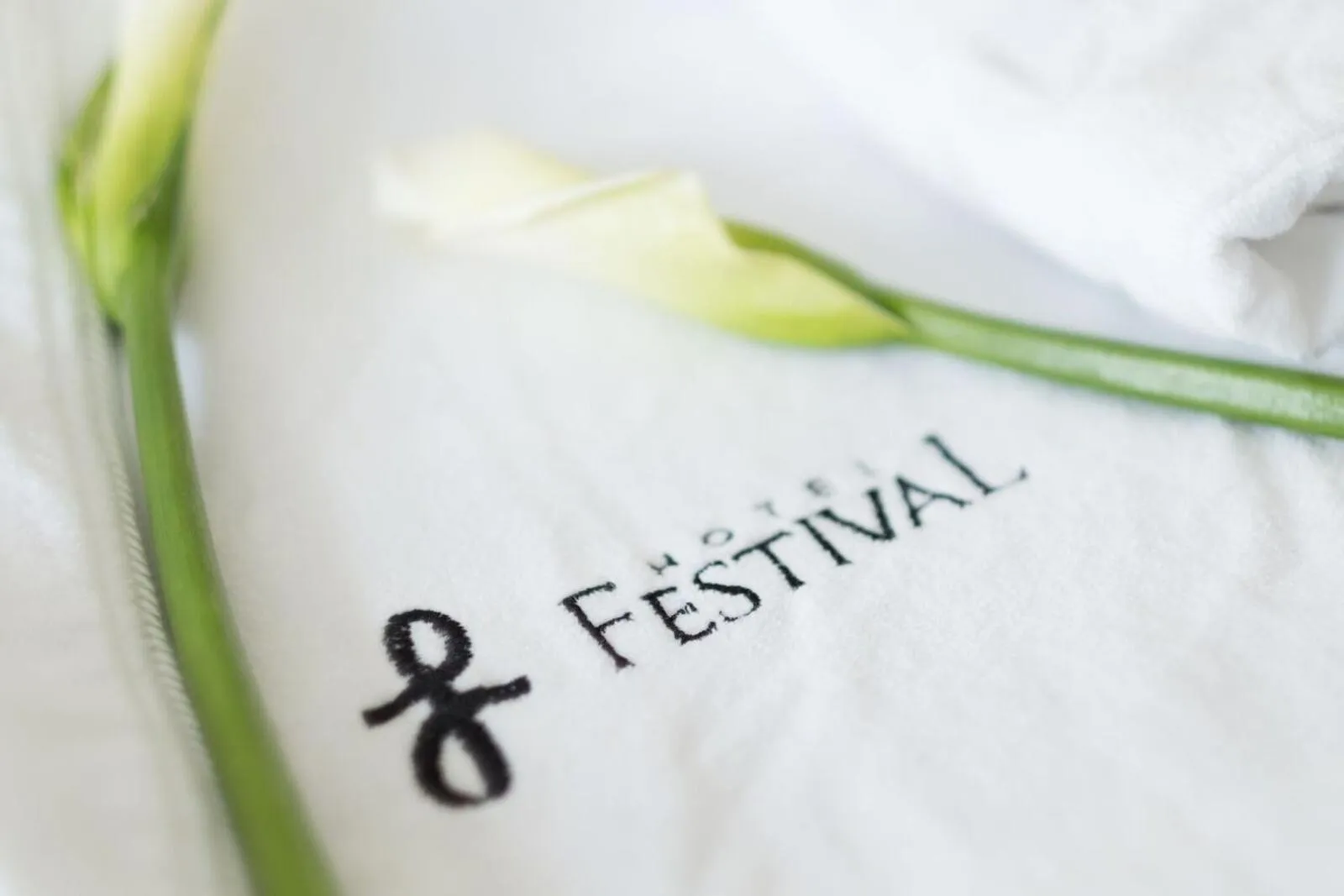 Property logo or sign in Hotel Festival