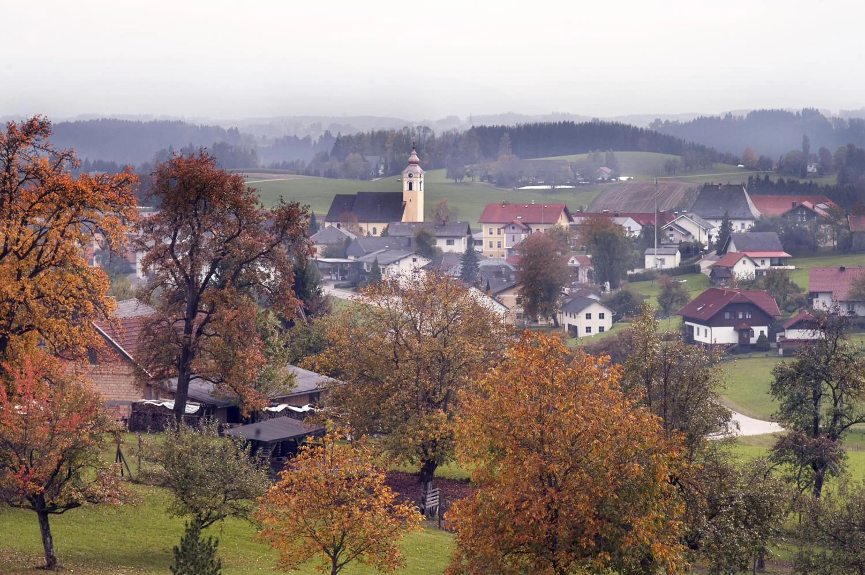 Area and facilities in Hotel-Gasthof Beim Böckhiasl