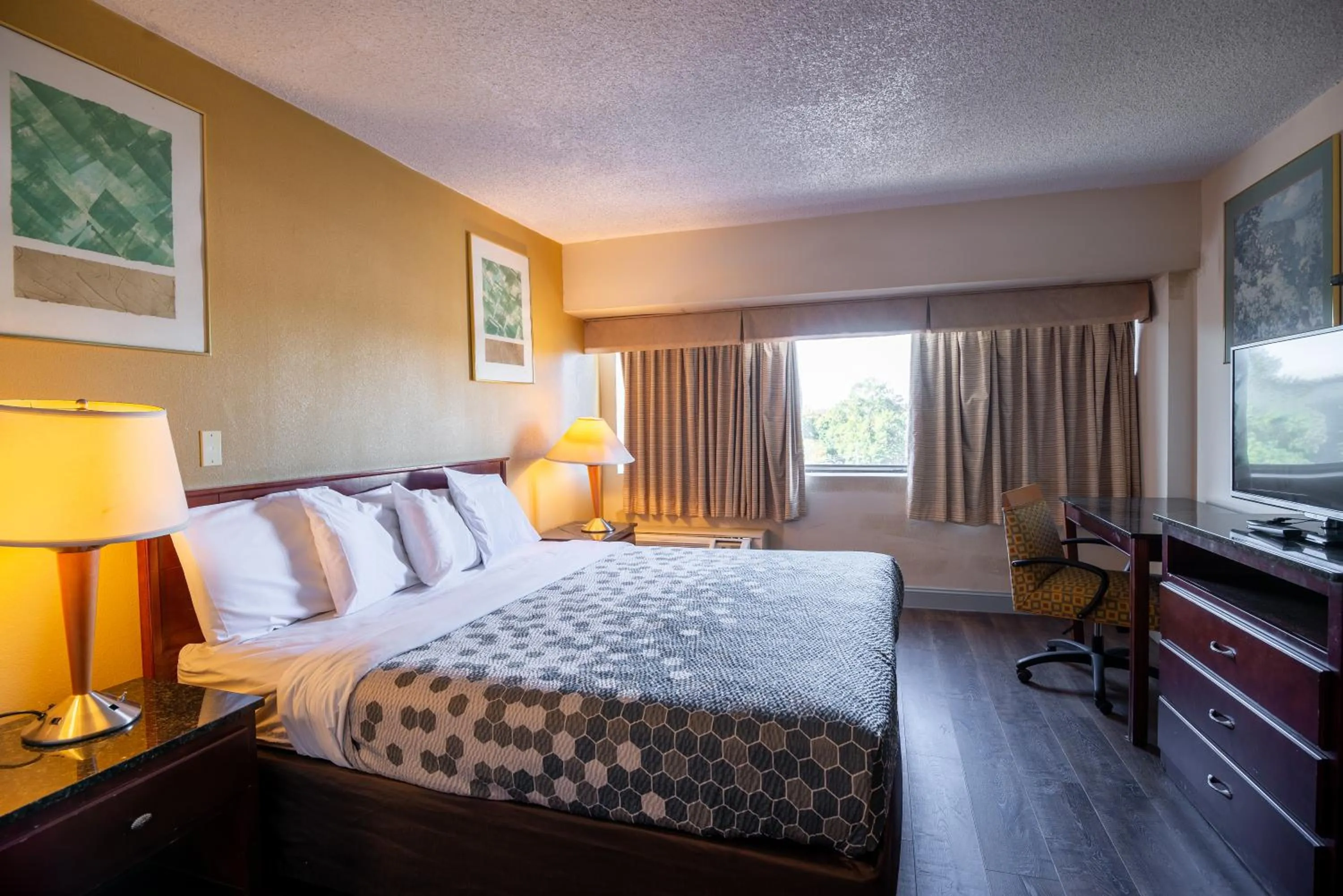 TV and multimedia, Bed in Dominion Inn and Suites