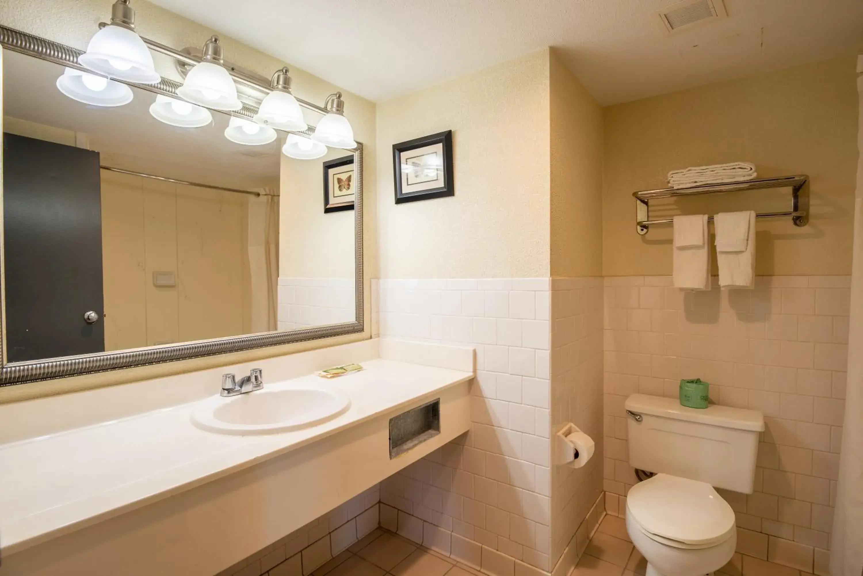 Deluxe Single Room - single occupancy in Dominion Inn and Suites Deluxe Single Room - single occupancy in Dominion Inn and Suites