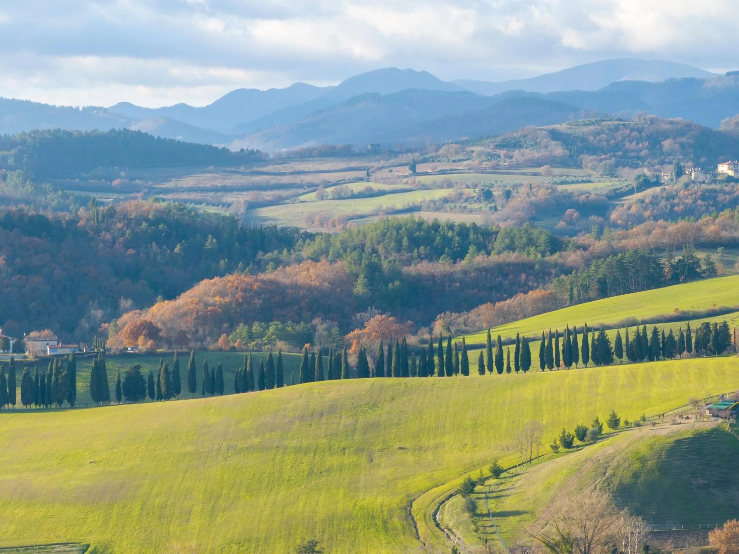 View (from property/room) in Podere La Casella