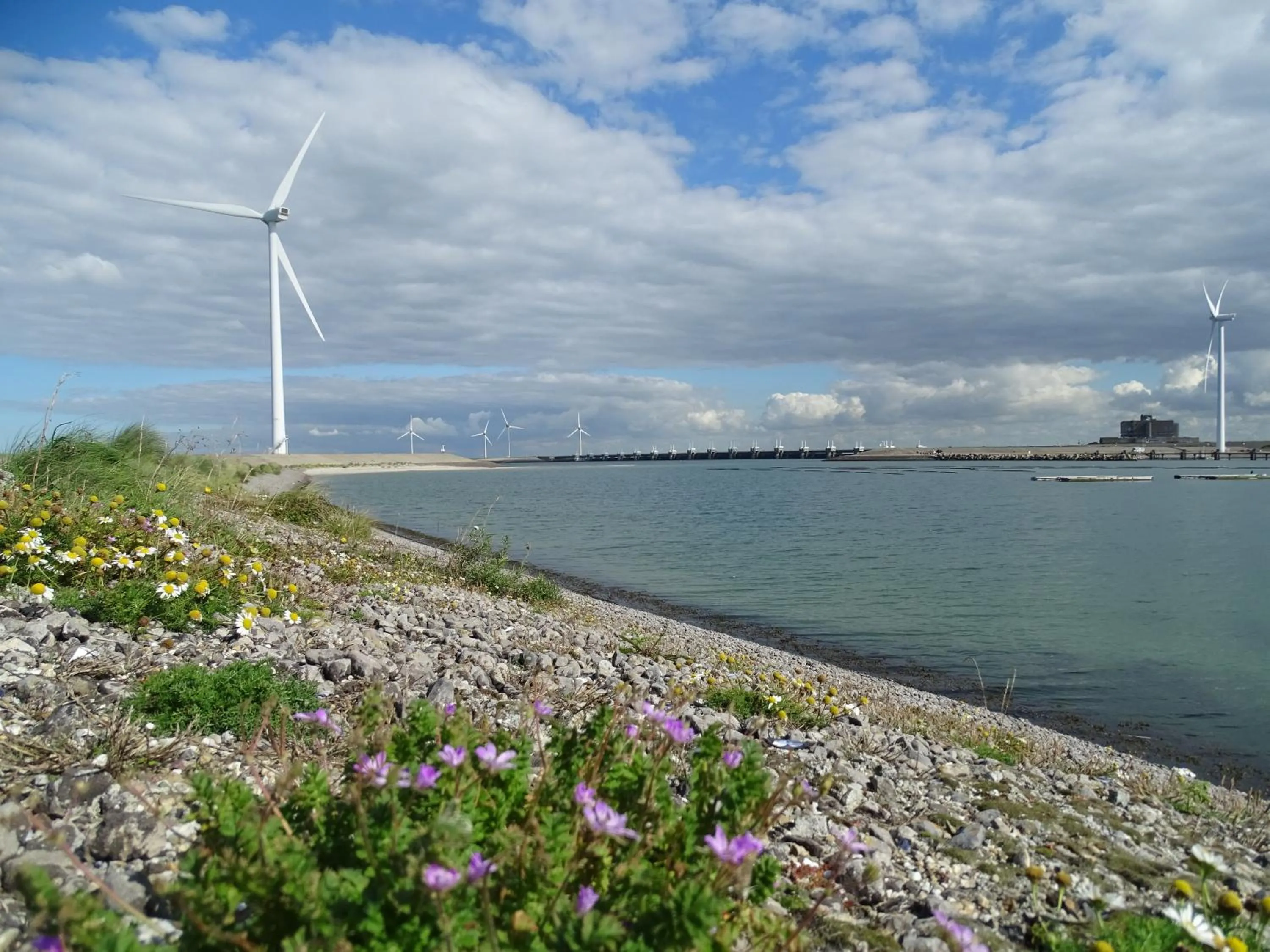 Beach in Hotel Café Restaurant "De Kroon"