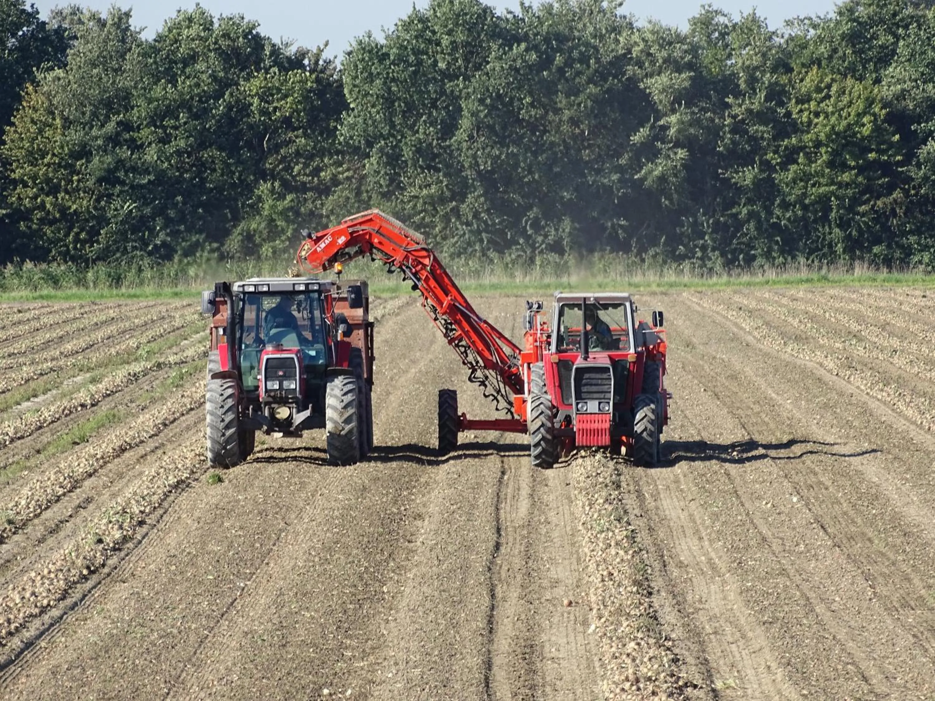 Natural landscape in Hotel Café Restaurant "De Kroon"