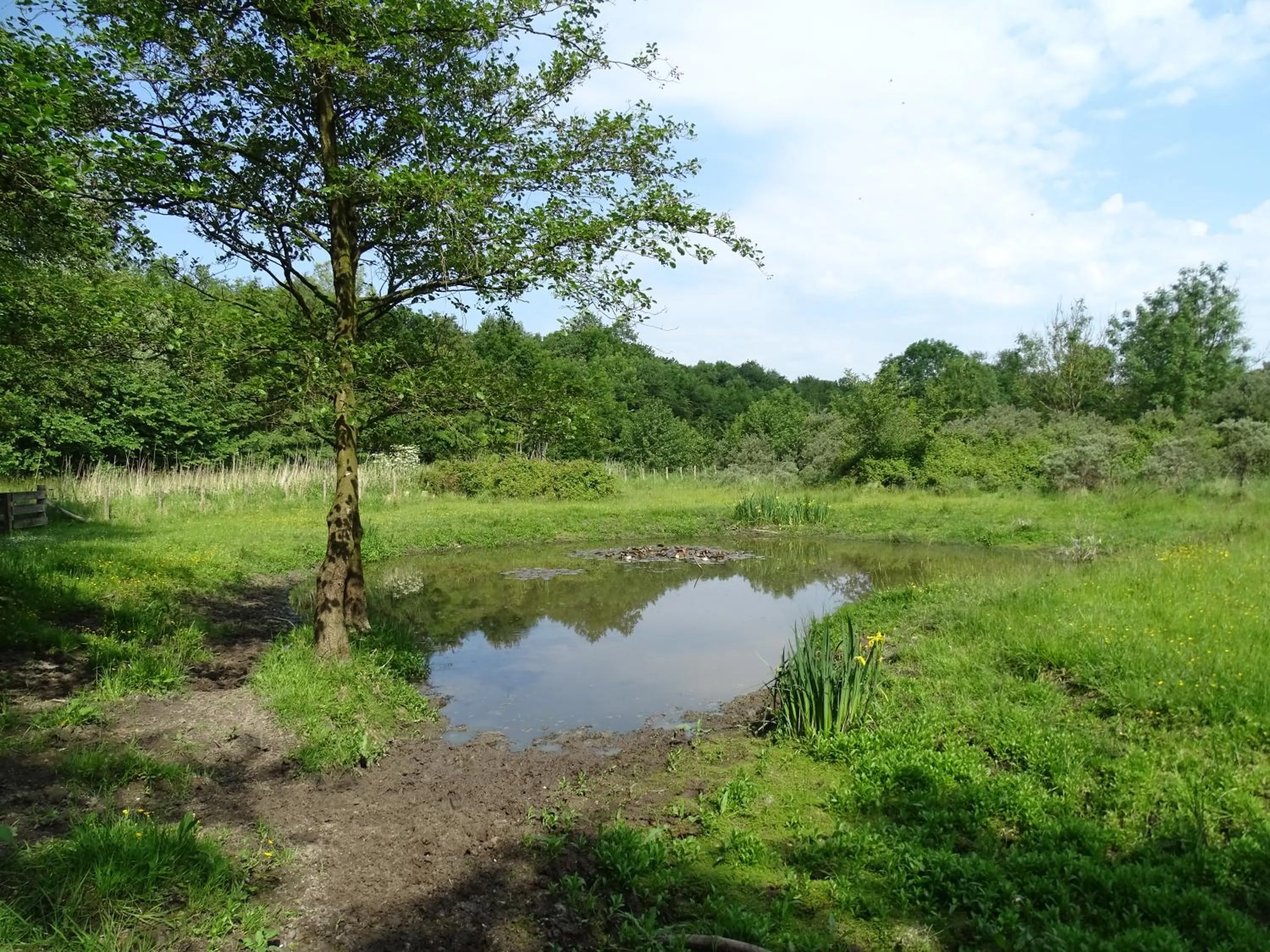 Natural landscape in Hotel Café Restaurant "De Kroon"