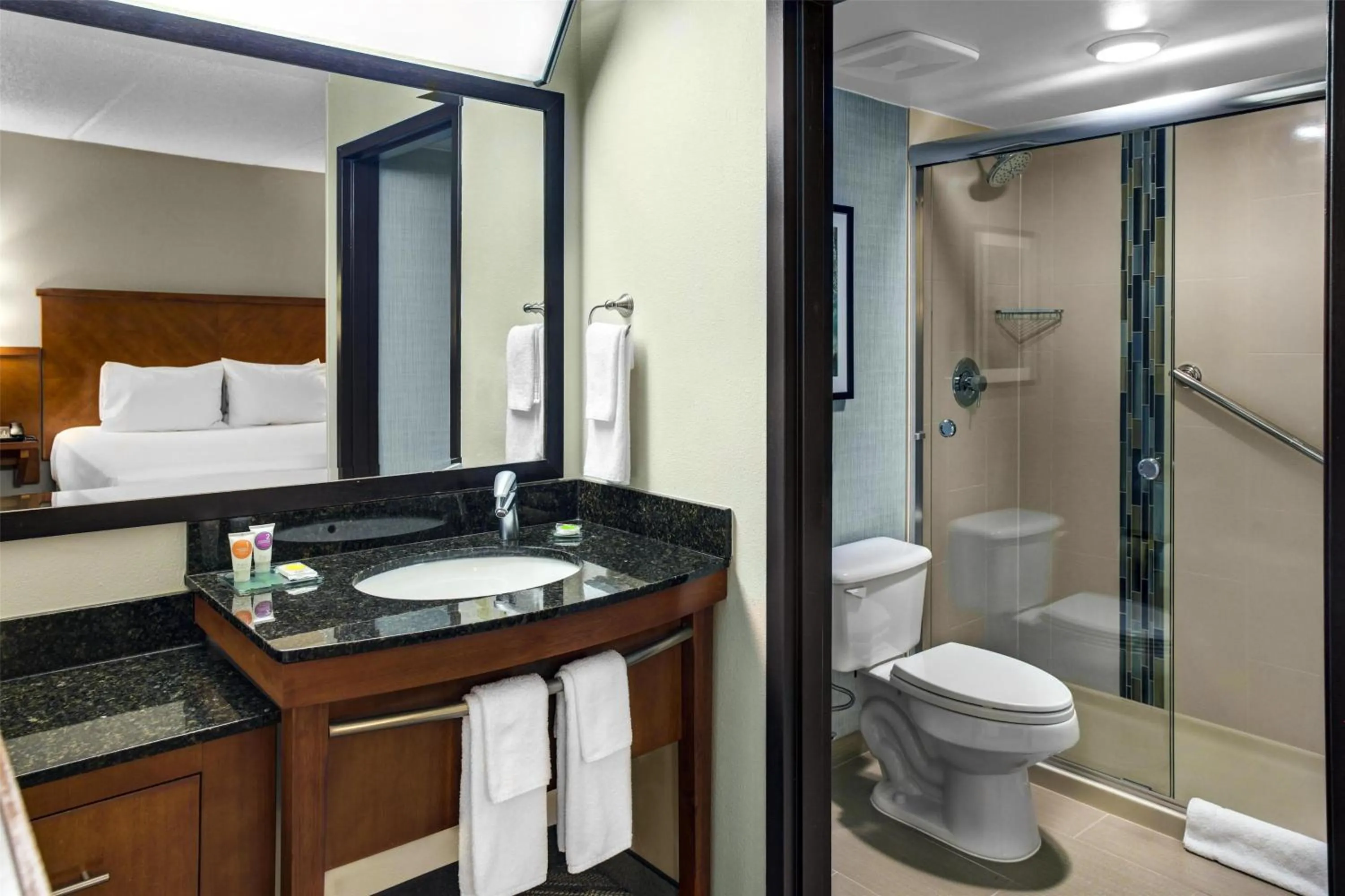 Bathroom in Hyatt Place Atlanta / Norcross / Peachtree