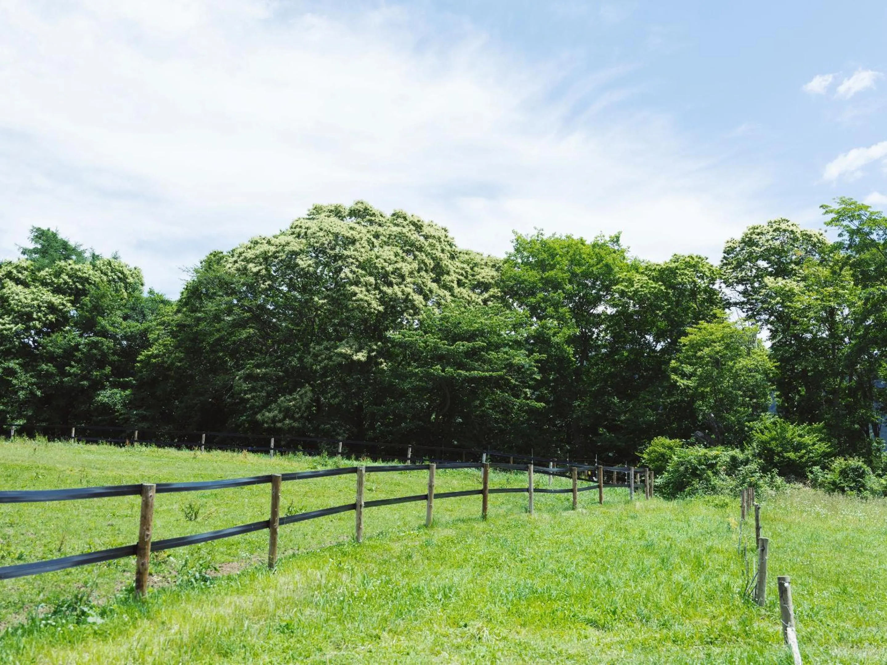 Natural landscape in Kiyosatokogen Country Inn The Classic