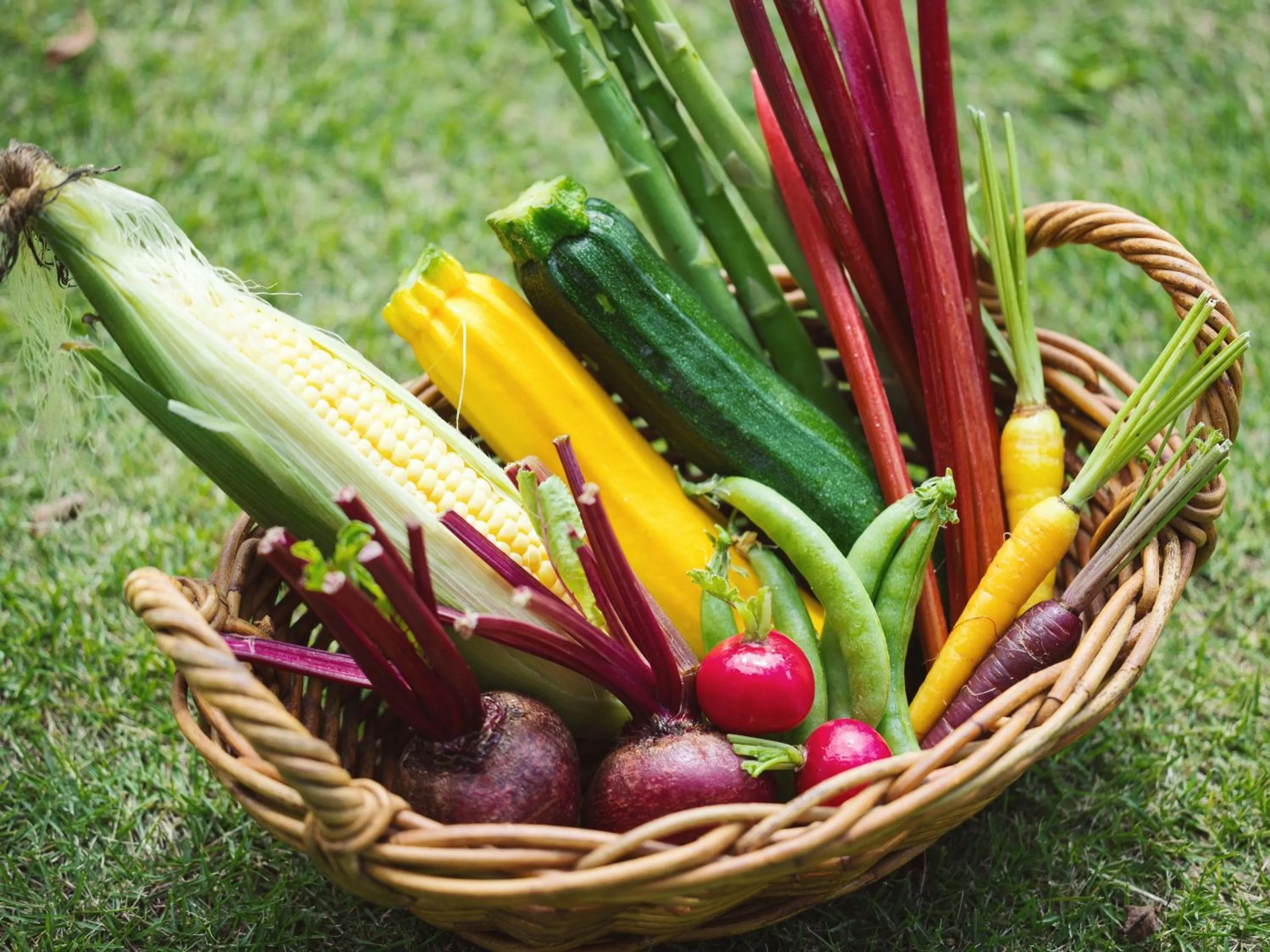 Meals in Kiyosatokogen Country Inn The Classic