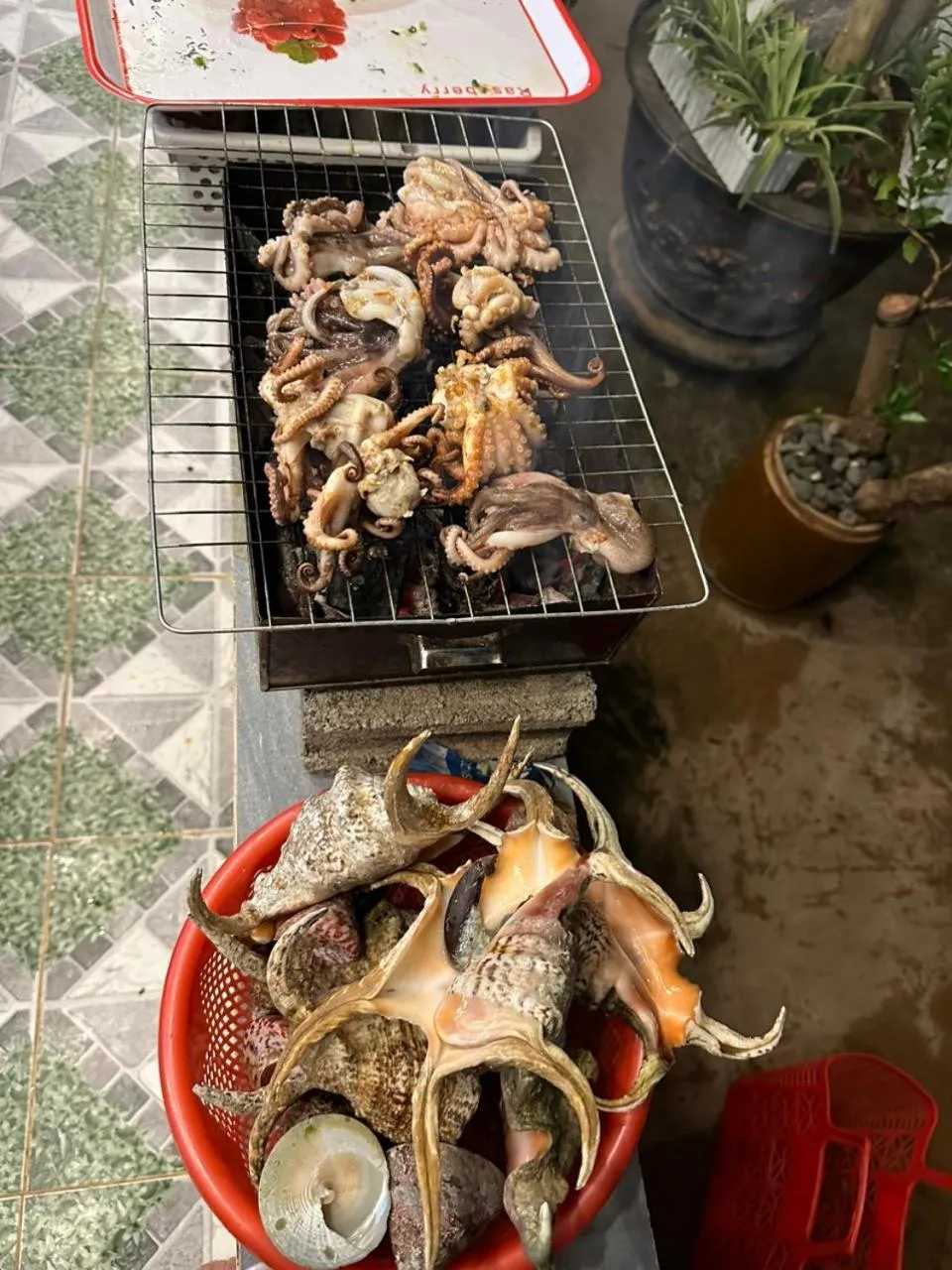 BBQ facilities in Homestay 1991
