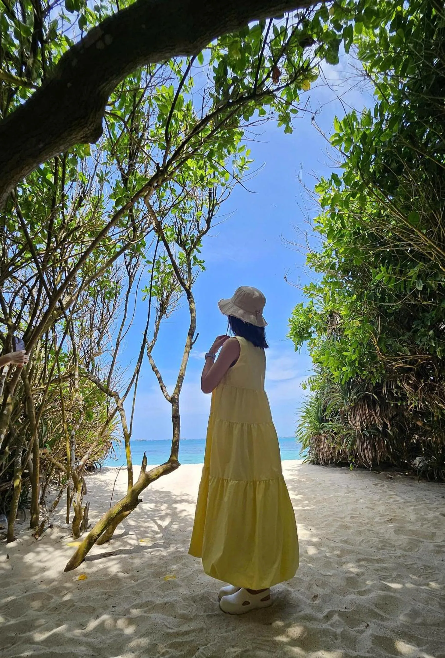 Natural landscape in Homestay 1991