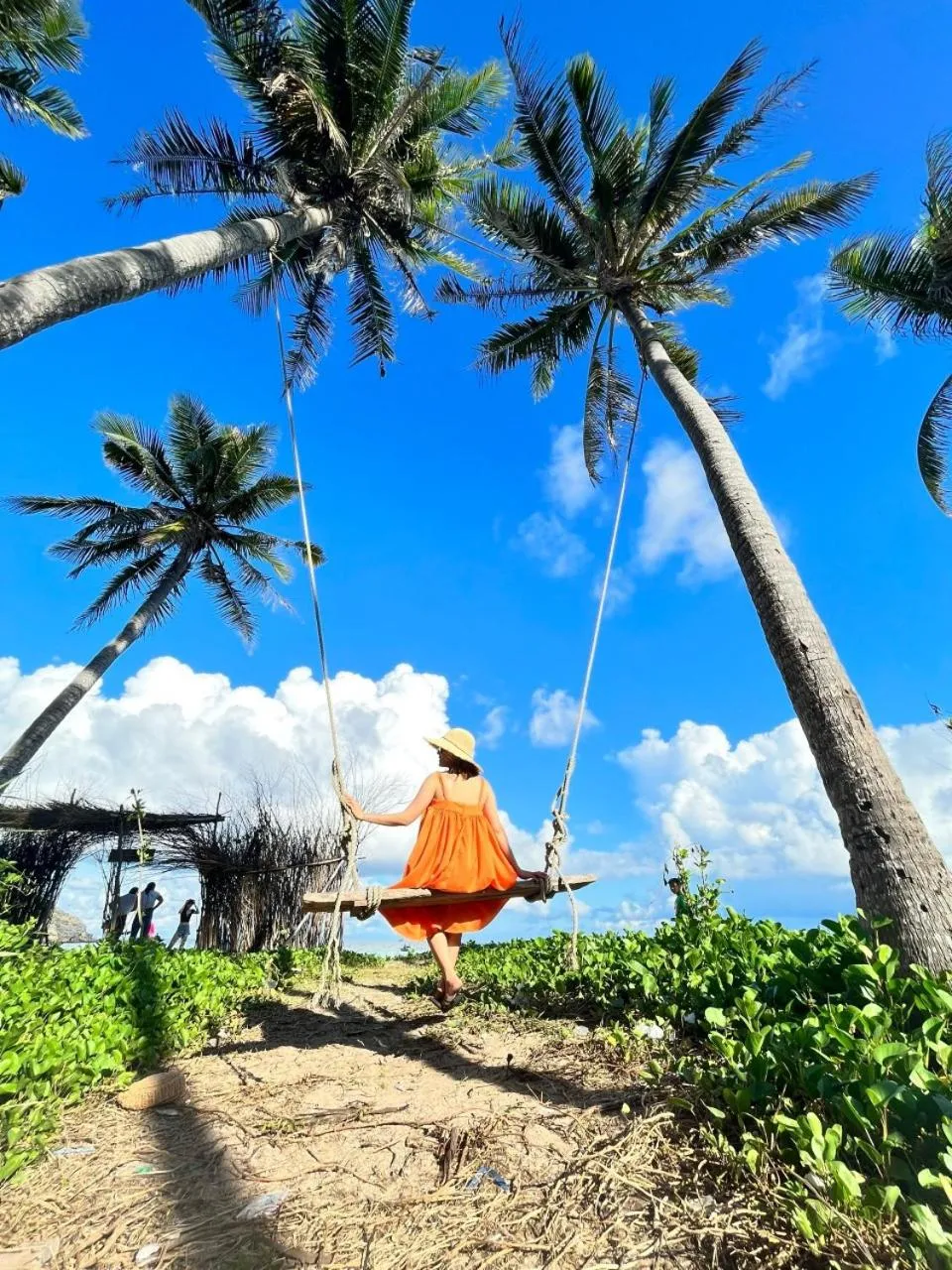 Garden in Homestay 1991
