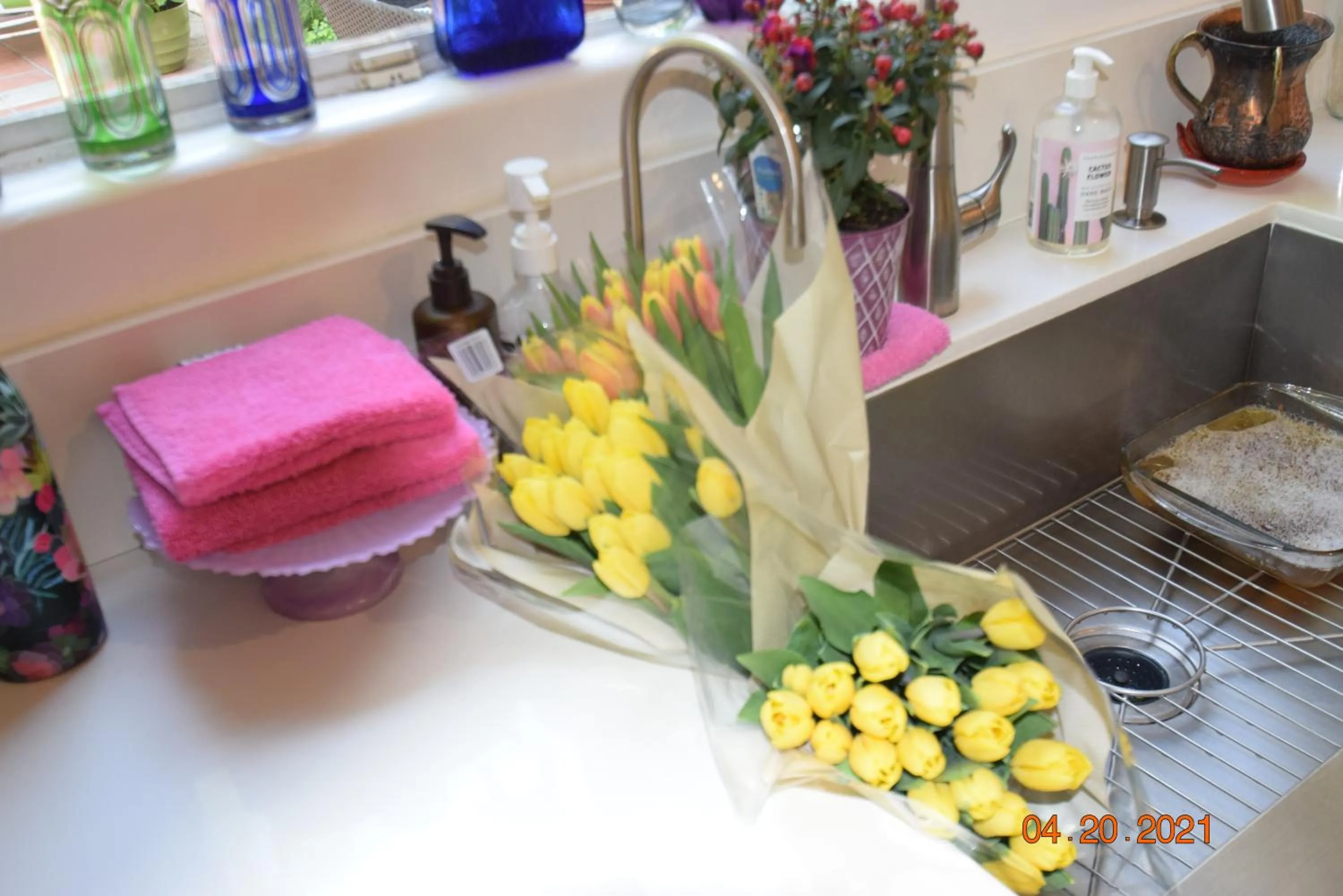 Beverly Hills Celebrity Home