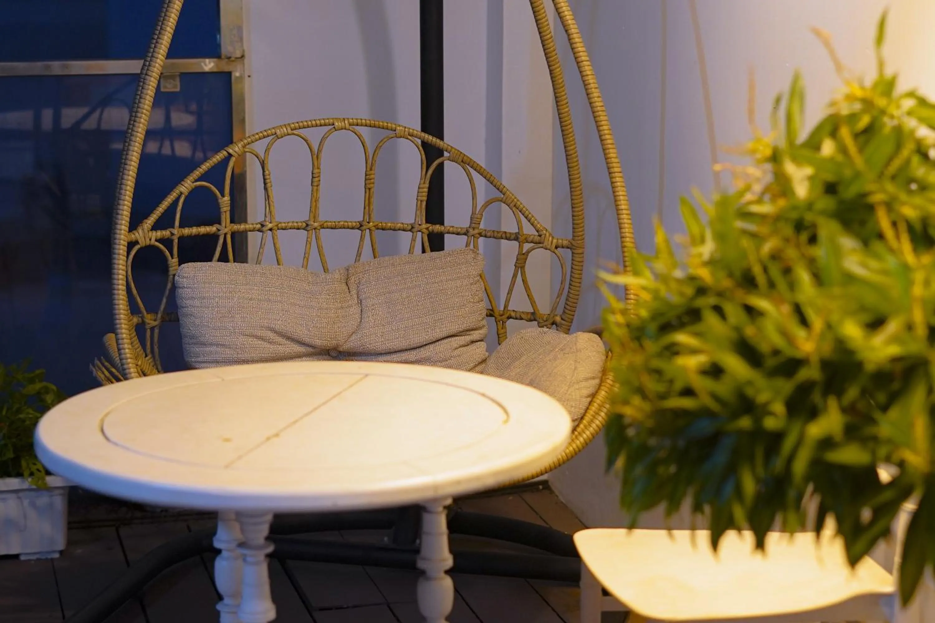 Garden in Jim’s House