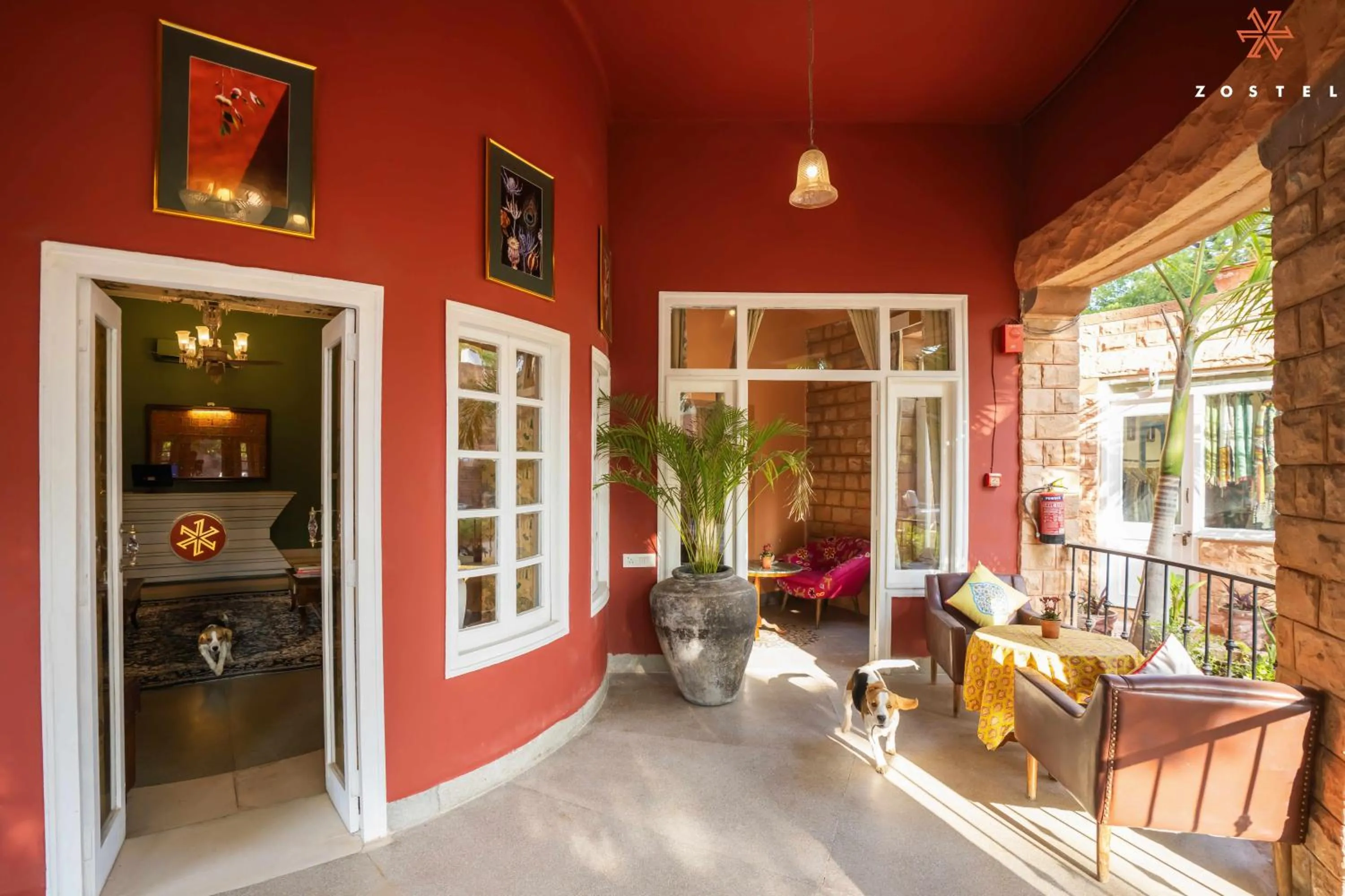 Balcony/Terrace in Zostel Jodhpur (Ratanada)