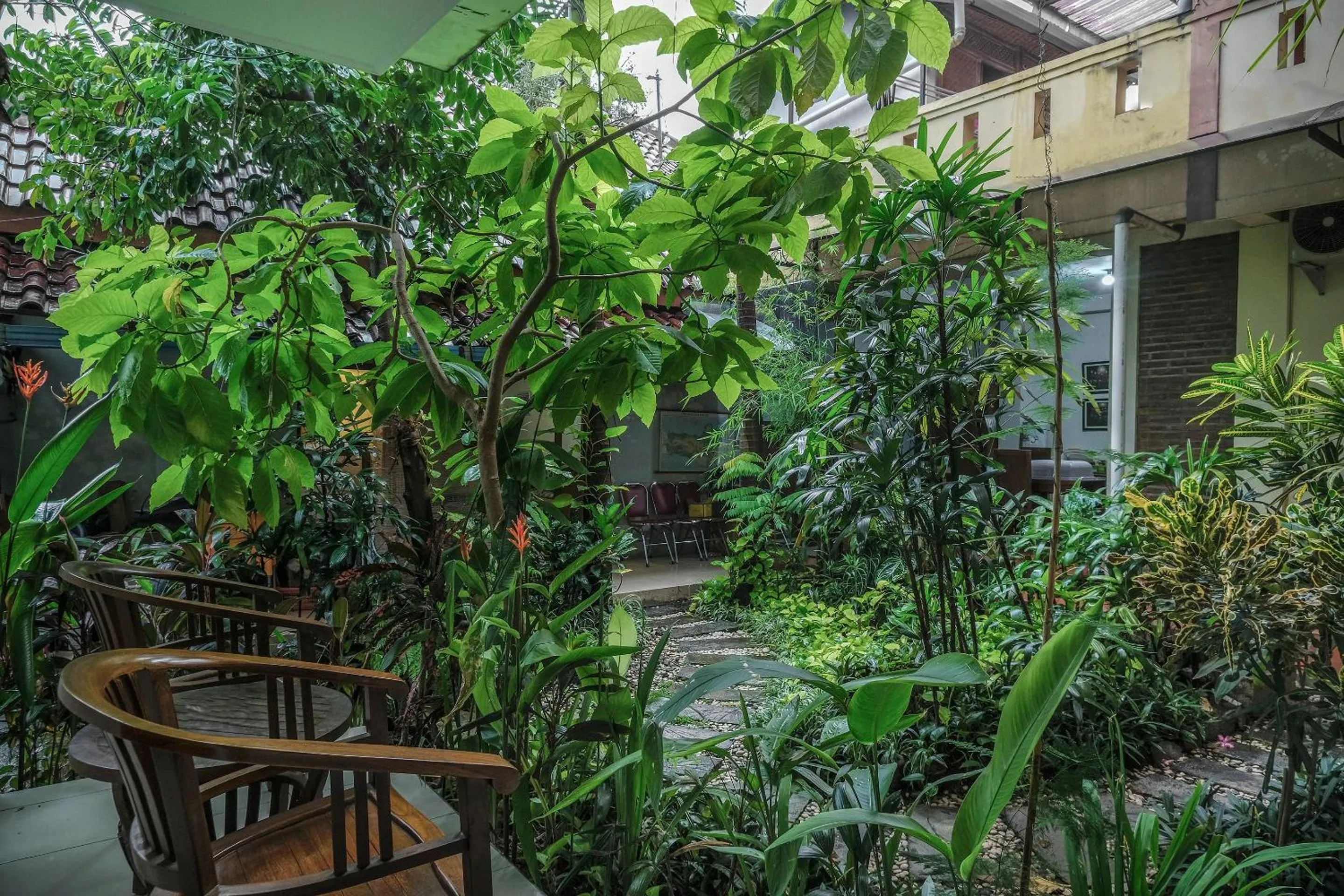 Garden in Sabana Homestay