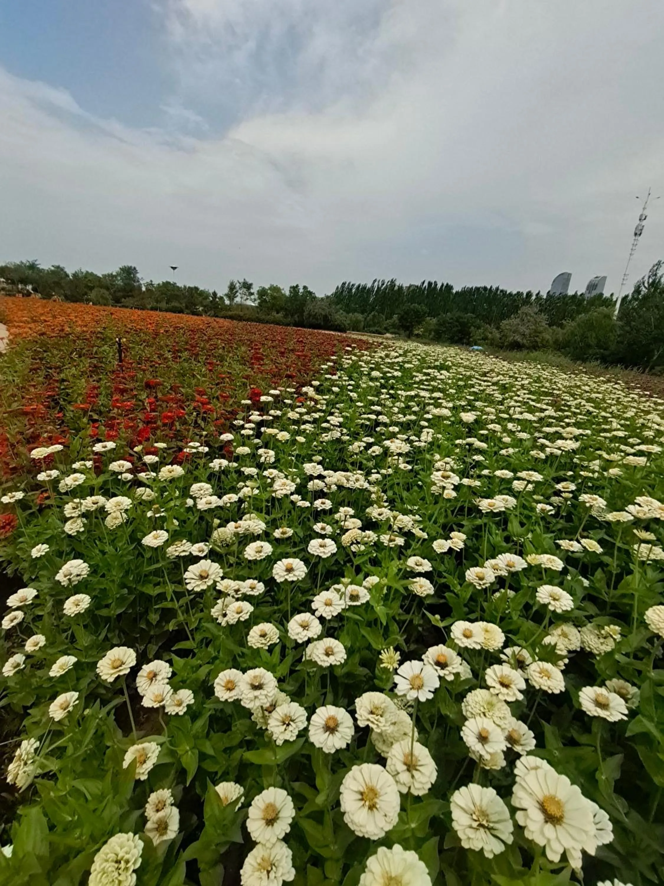 Primus Hotel Yinchuan