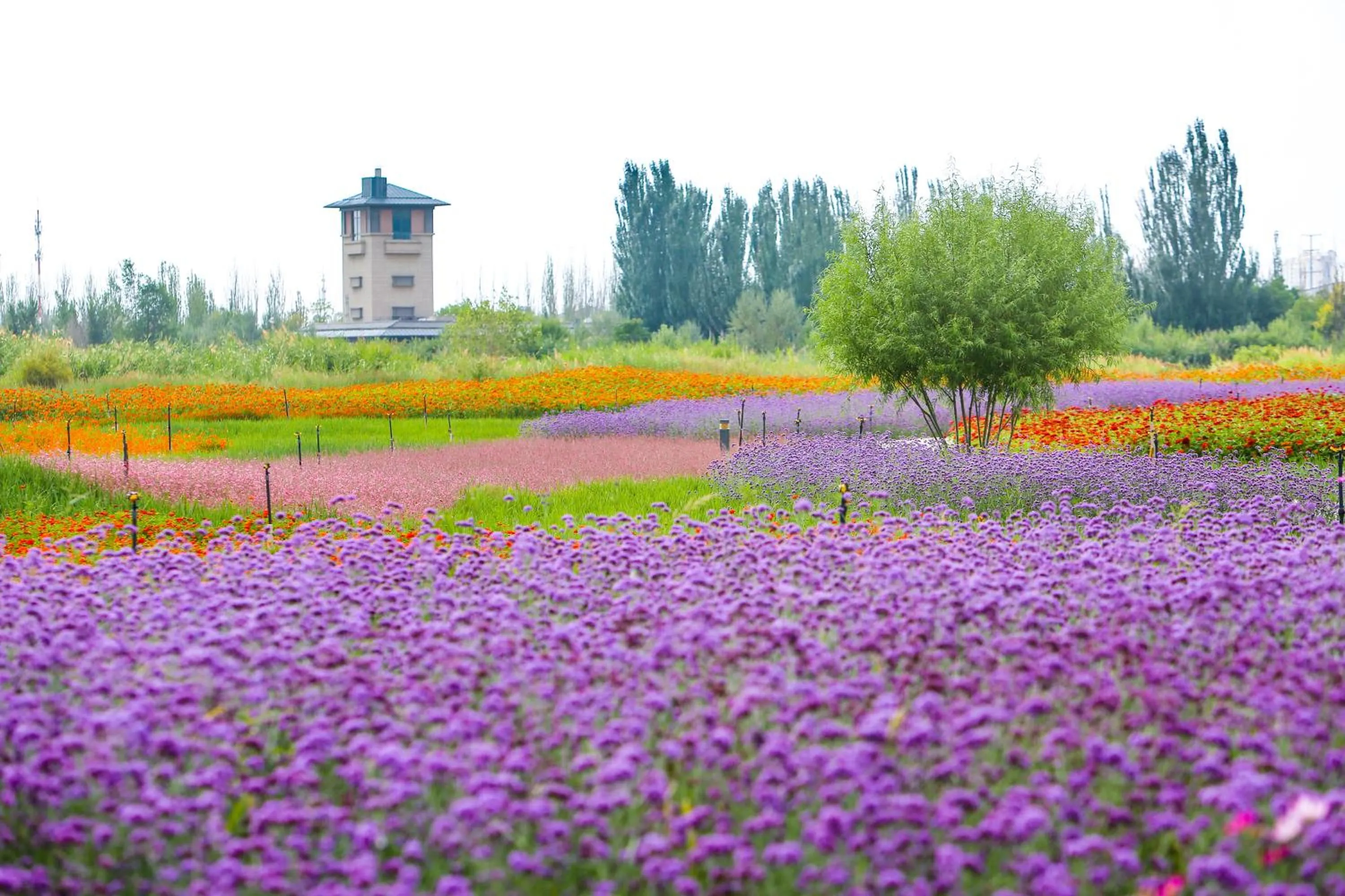 Primus Hotel Yinchuan