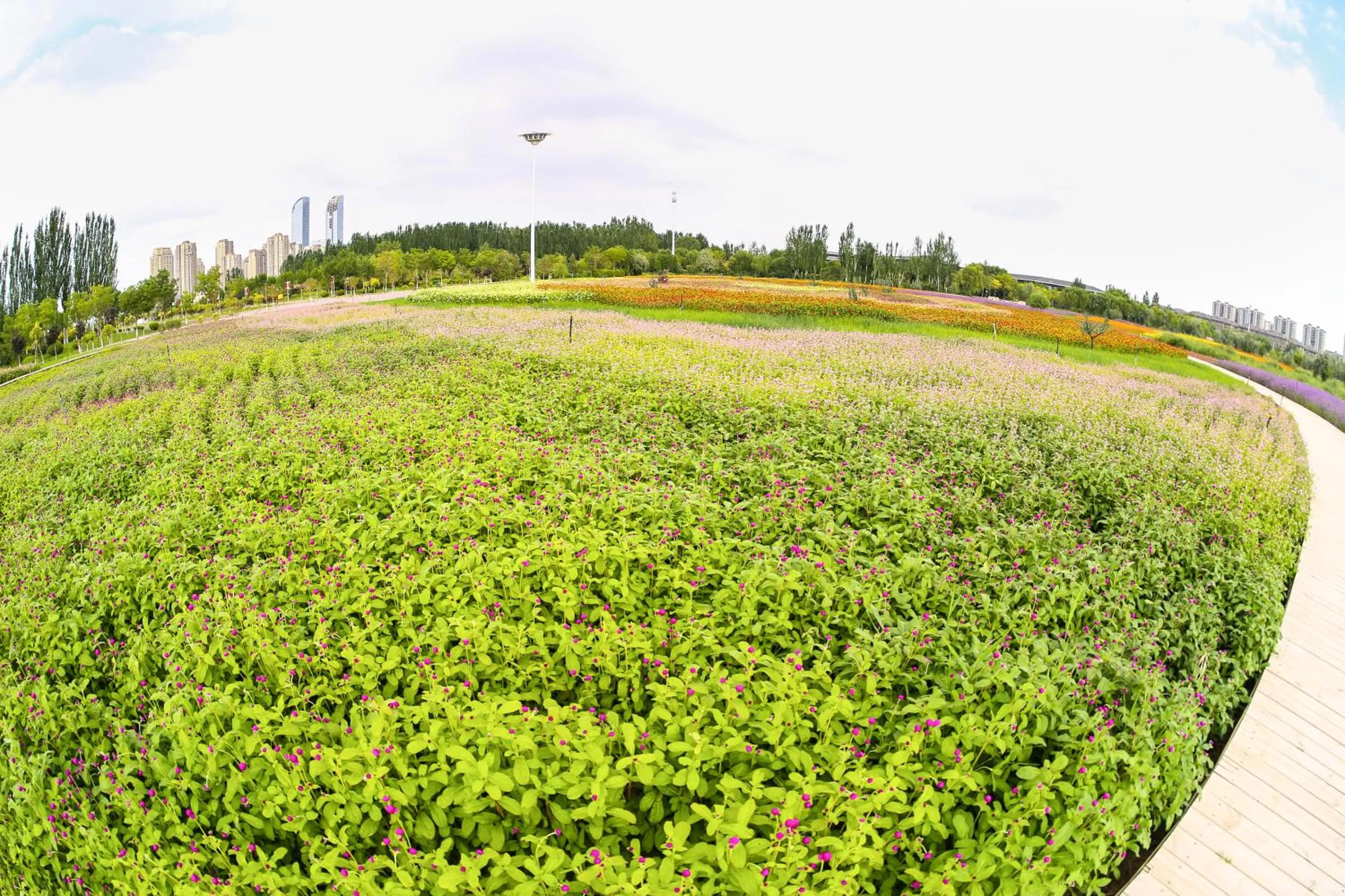 Primus Hotel Yinchuan