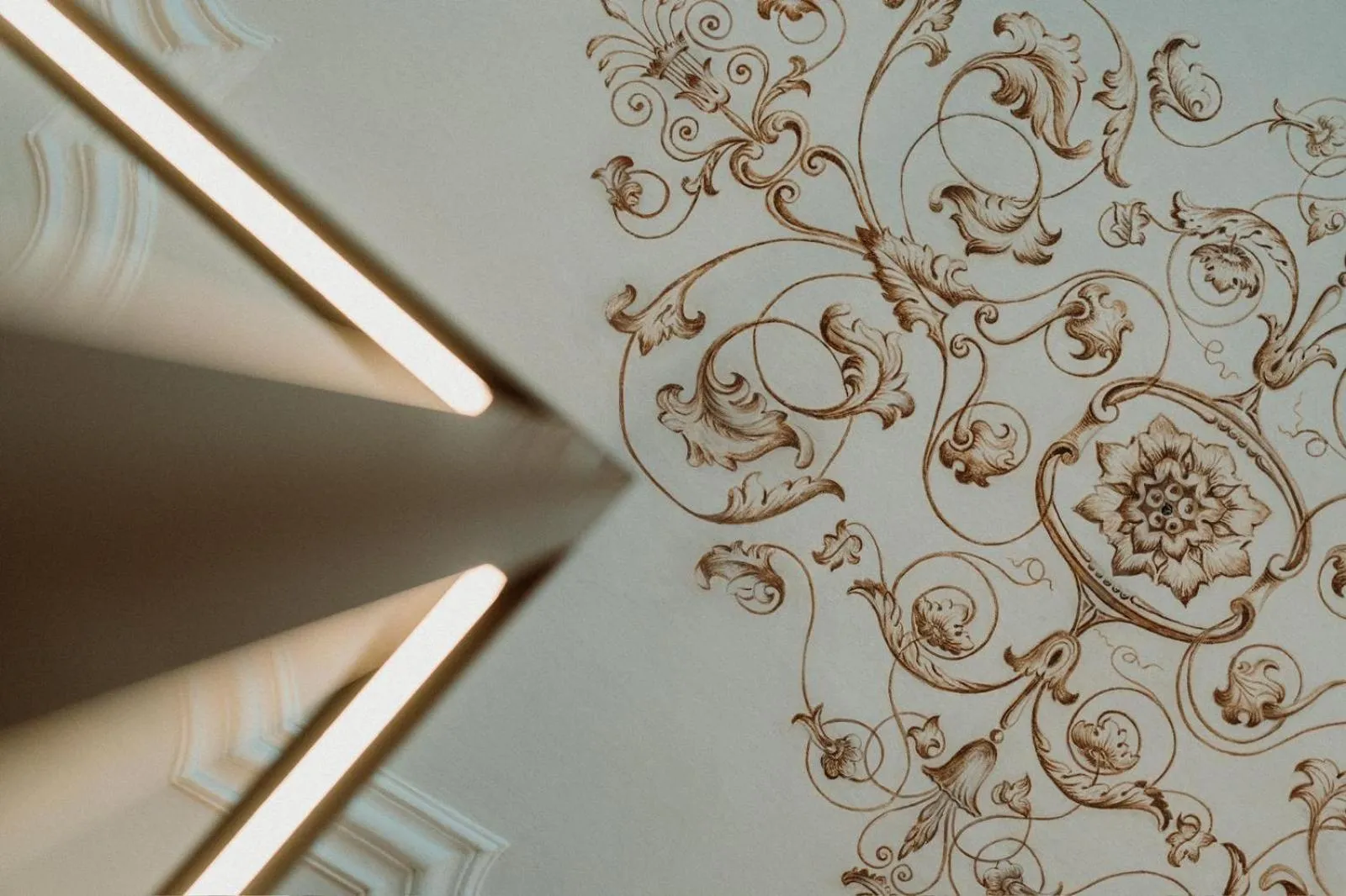 Area and facilities in META SUITES historic city living