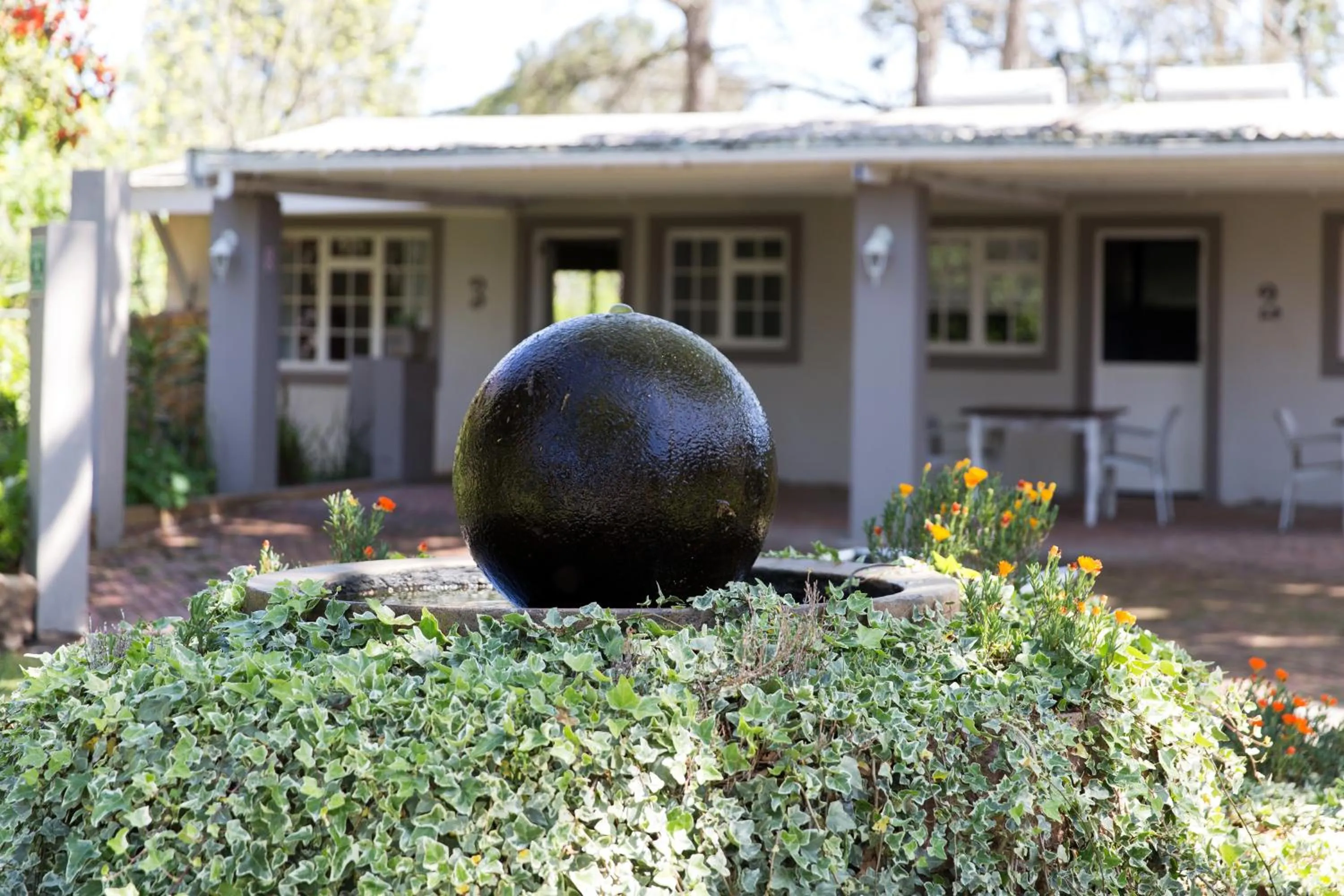 Garden in Nuwerus Lodge Paarl