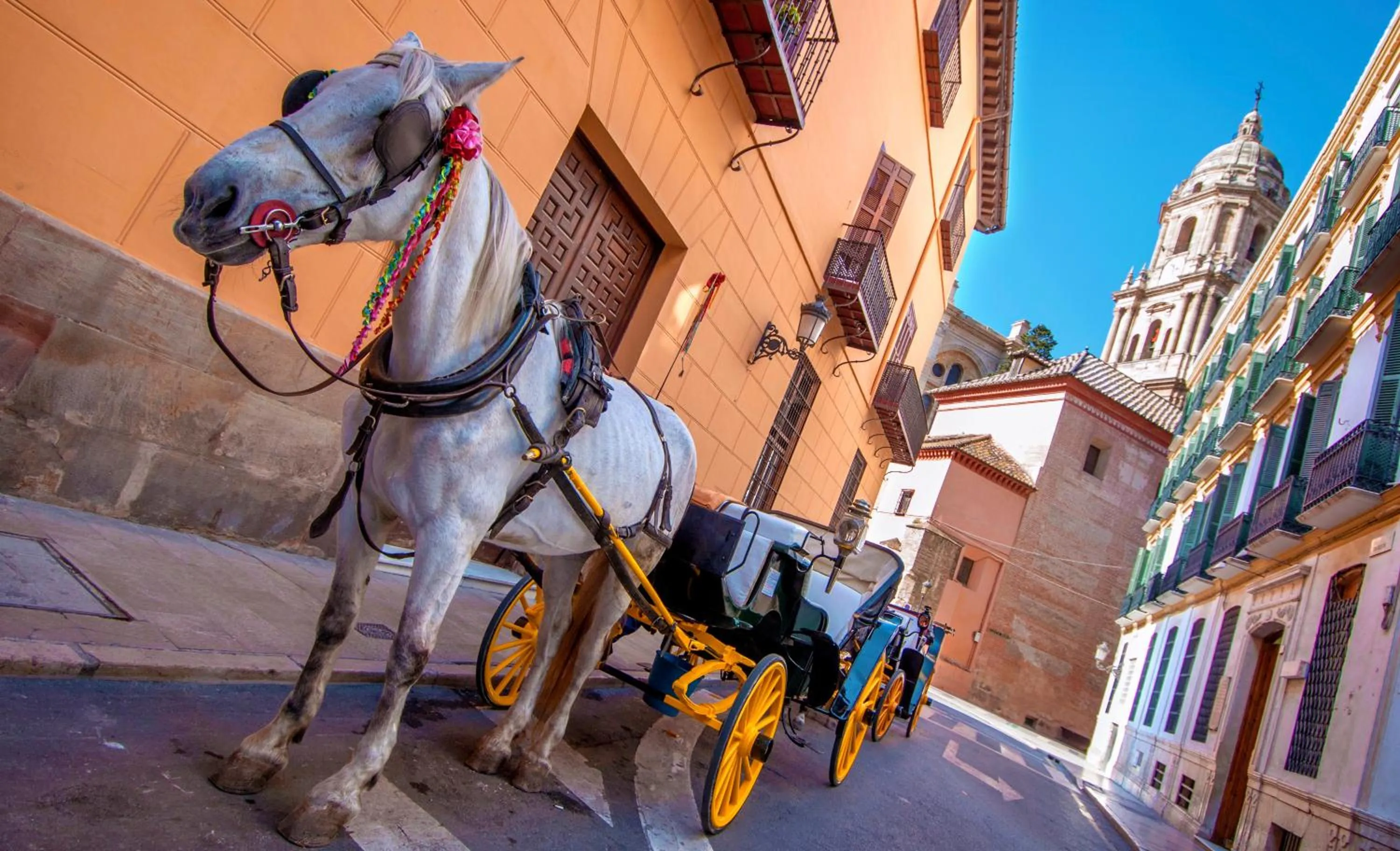 Location in Villa Conmigo Bed & Breakfast