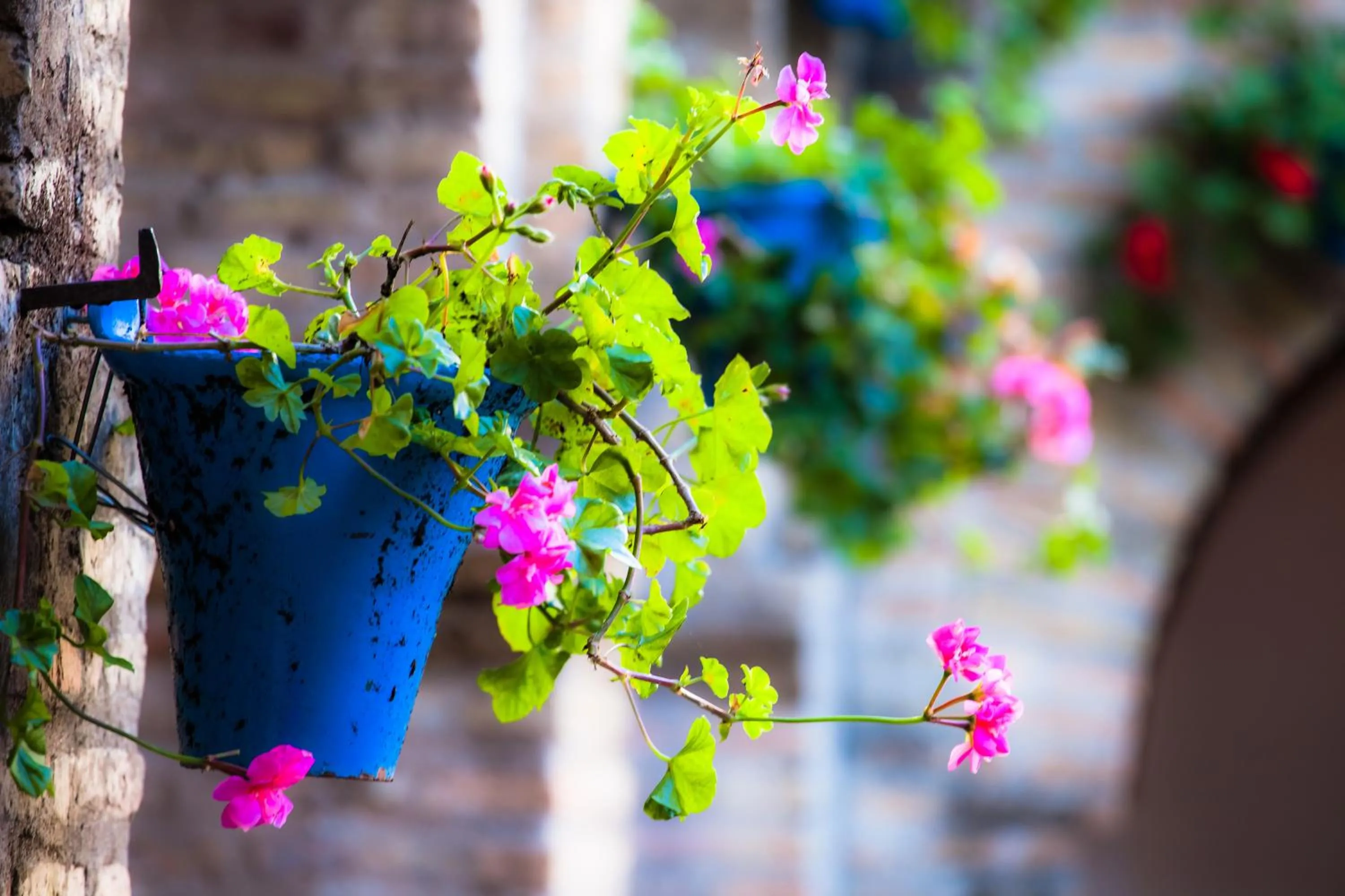 Other in Villa Conmigo Bed & Breakfast