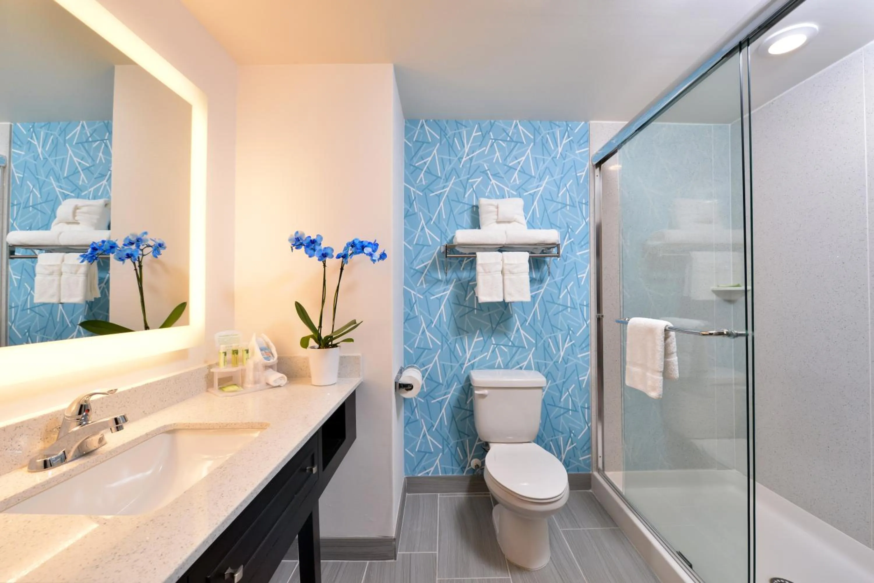 Photo of the whole room in Holiday Inn Express and Suites West Ocean City by IHG