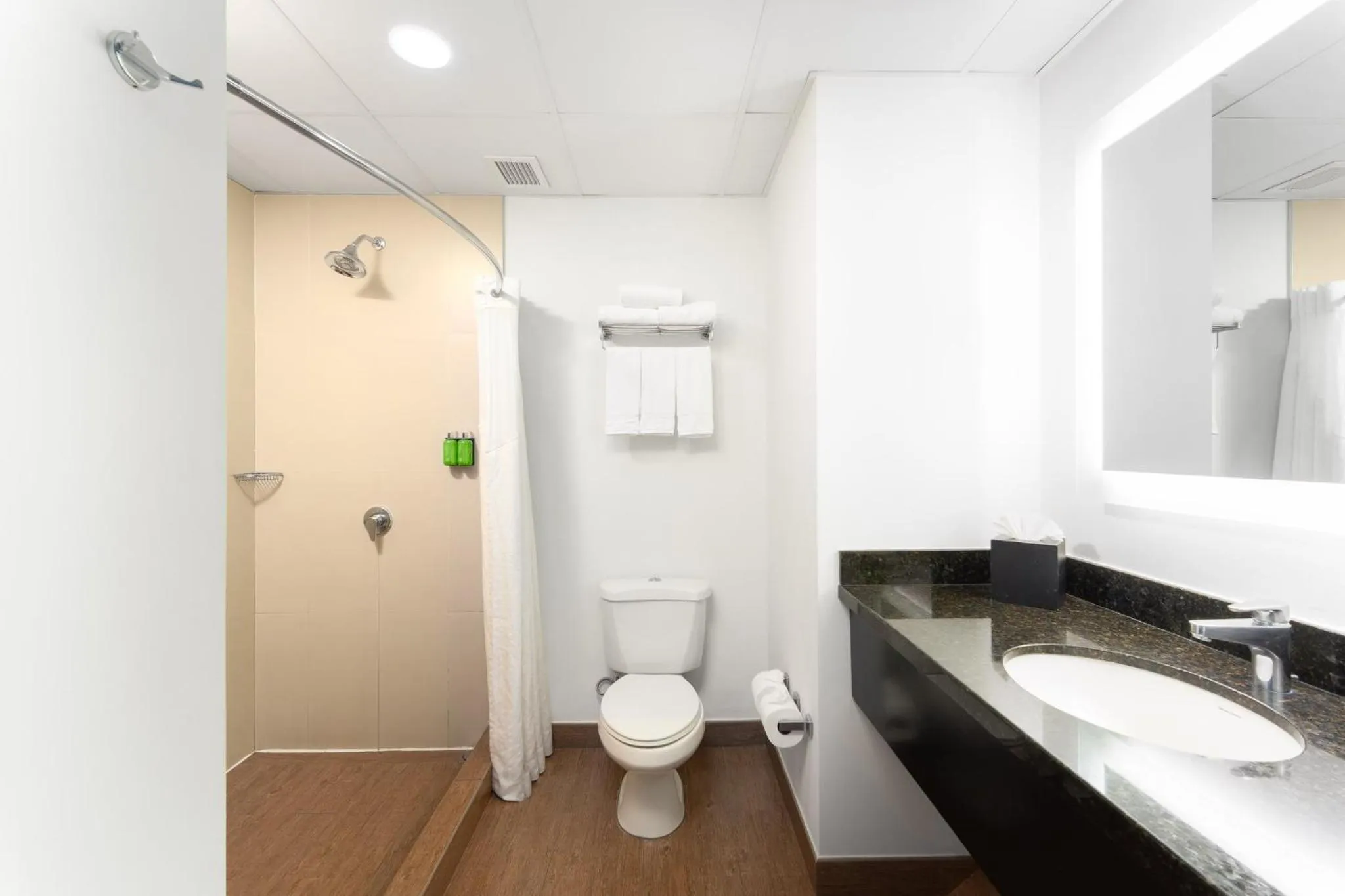 Bathroom in Holiday Inn Express Tegucigalpa by IHG