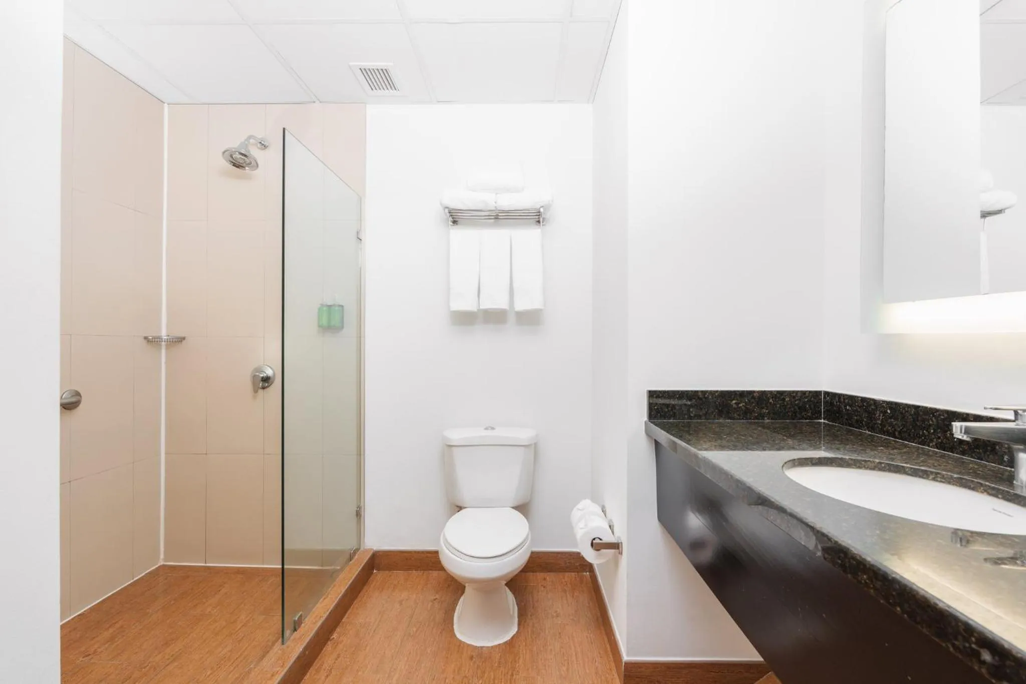 Bathroom in Holiday Inn Express Tegucigalpa by IHG