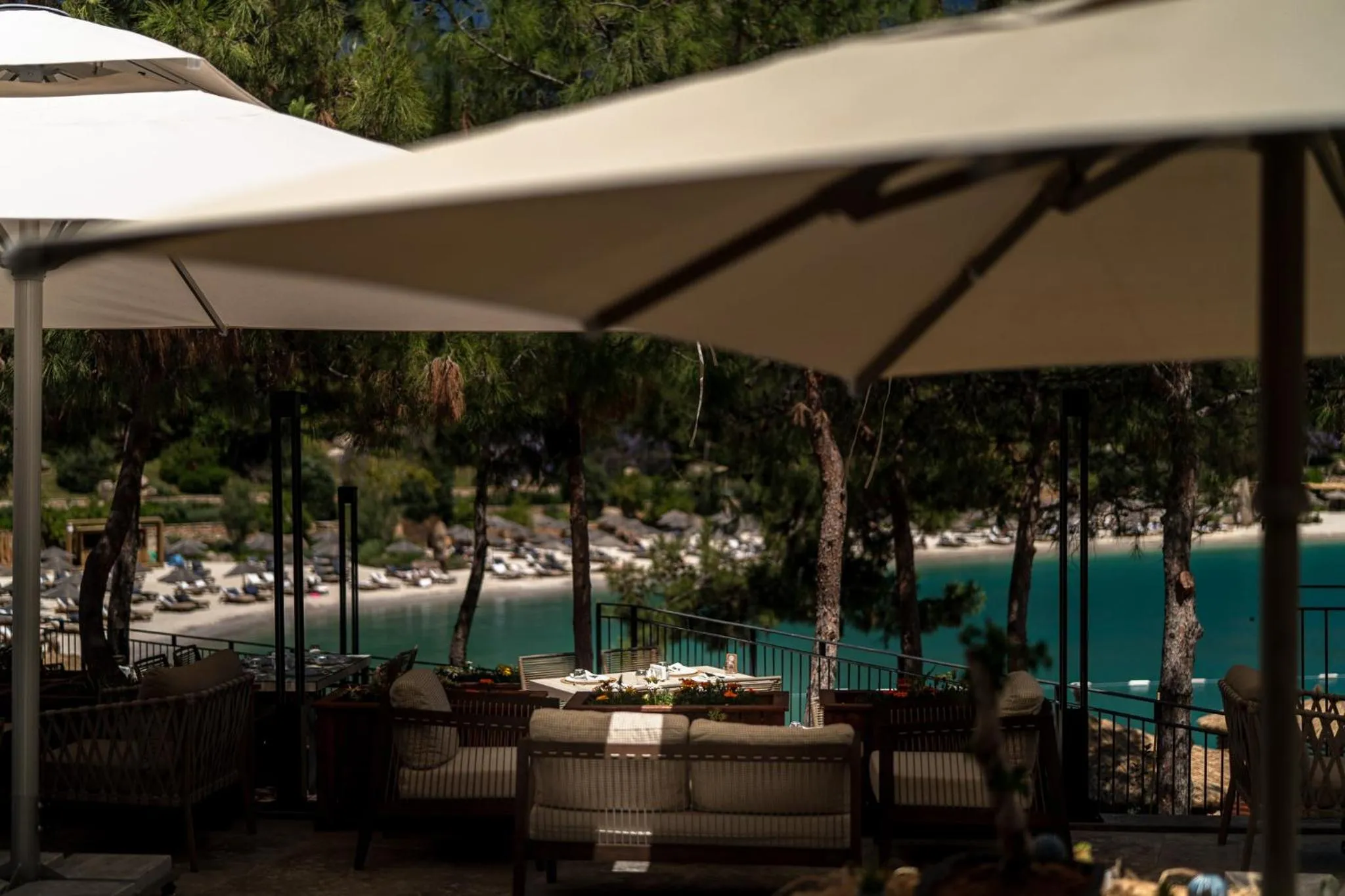 Restaurant/places to eat in La Blanche Island Bodrum