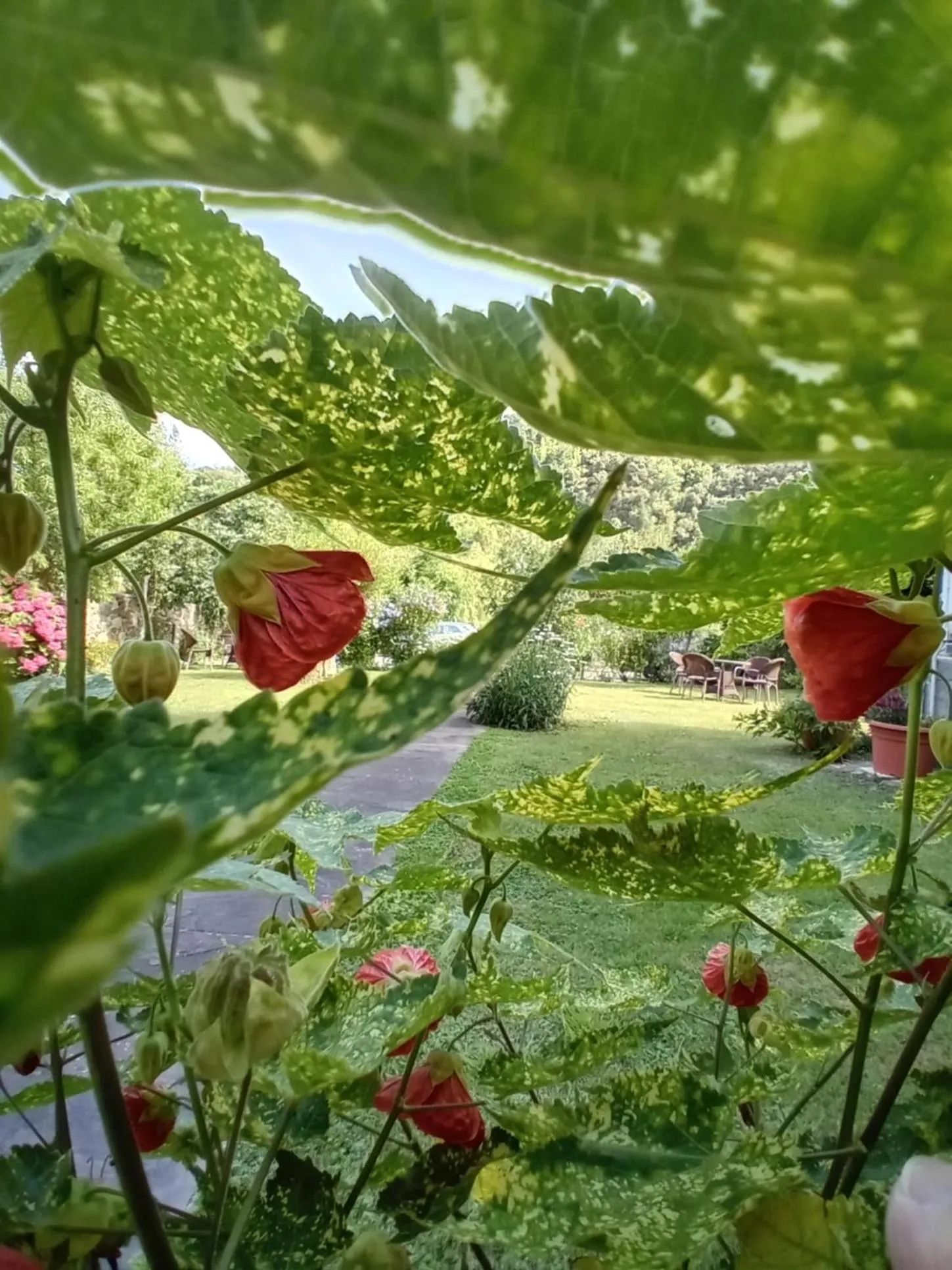 Garden in Picos de Europa Suites and Rooms