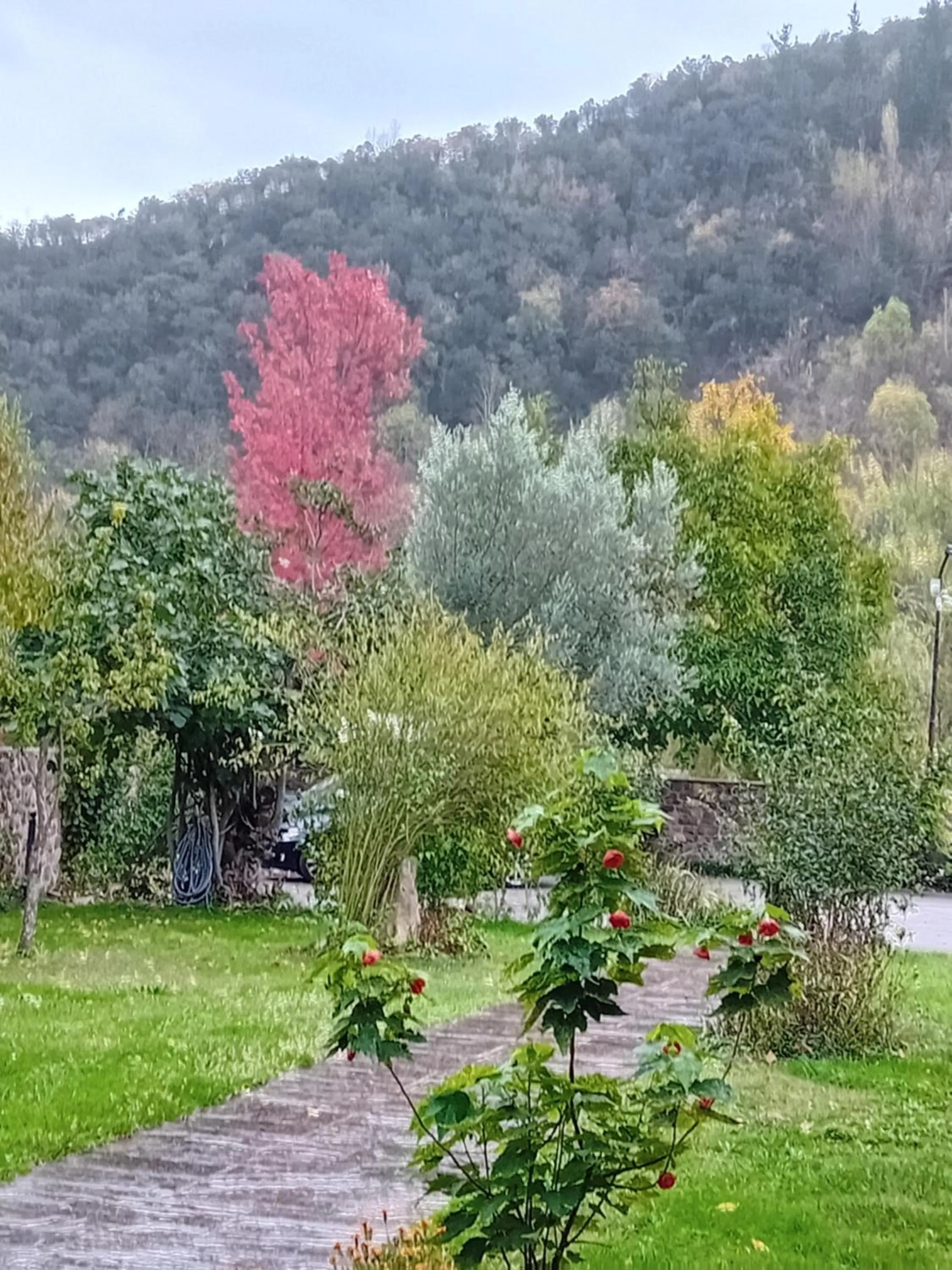 Garden view in Picos de Europa Suites and Rooms