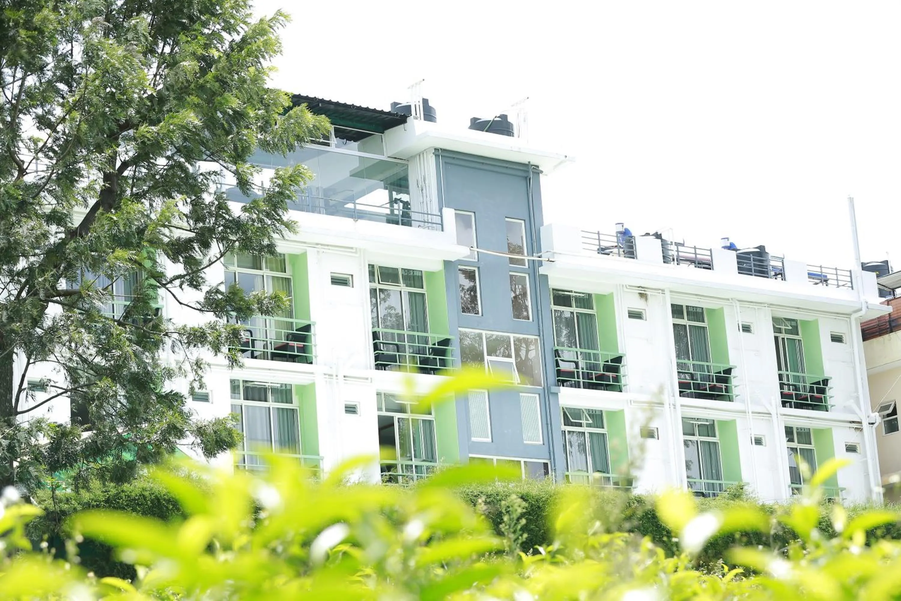 Property building in Sunvalley Homestay