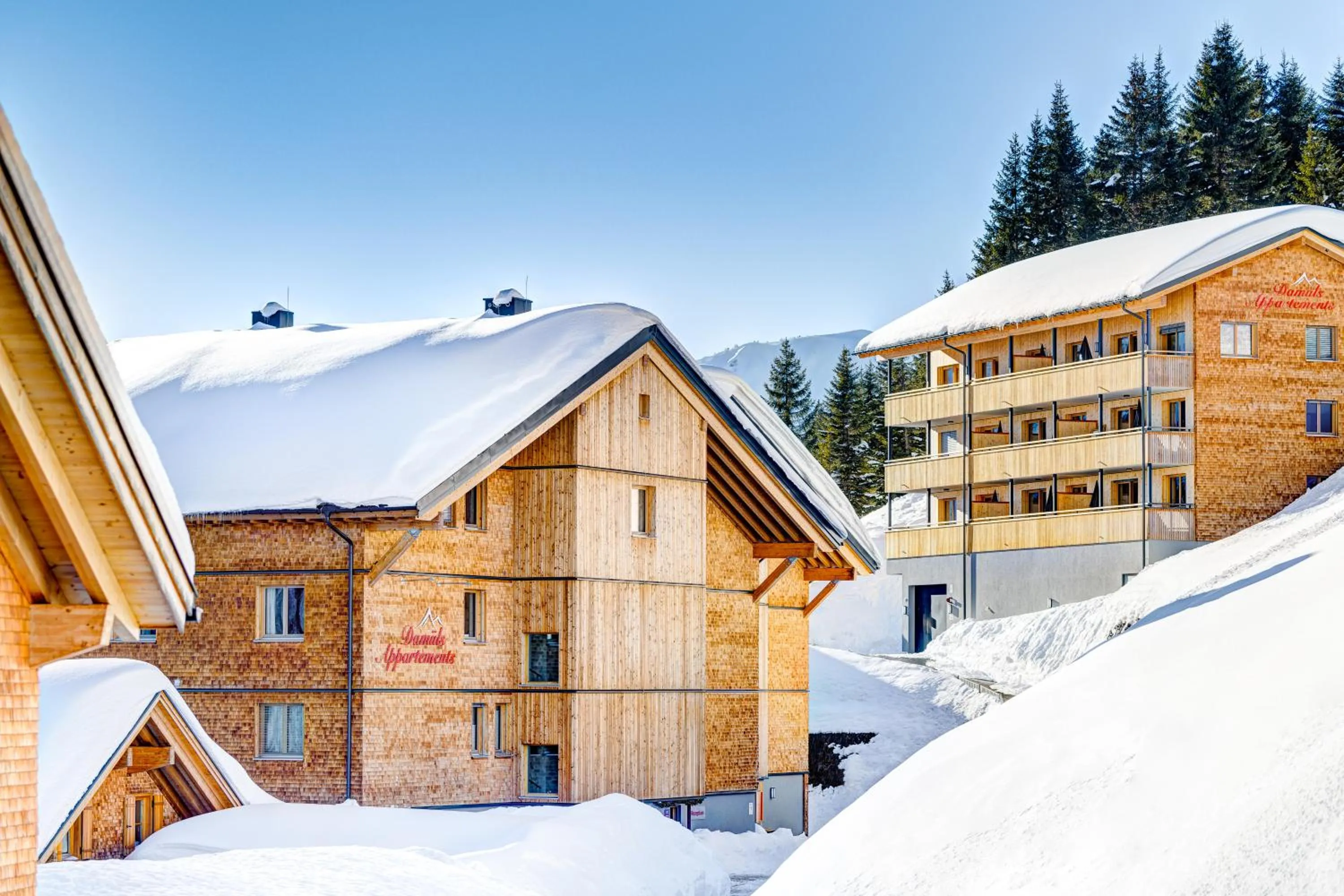Property building in Damüls Appartements