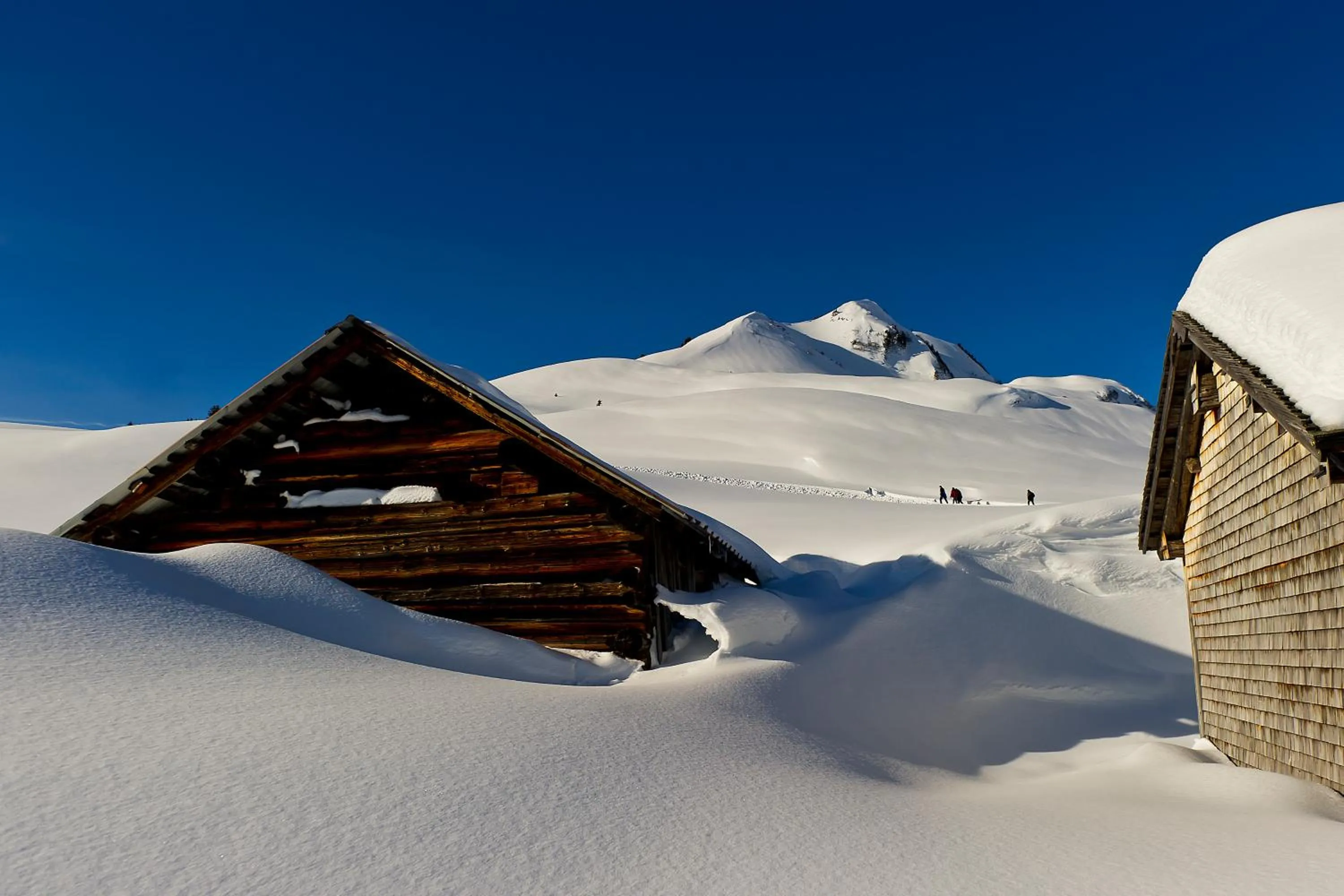 Natural landscape in Damüls Appartements