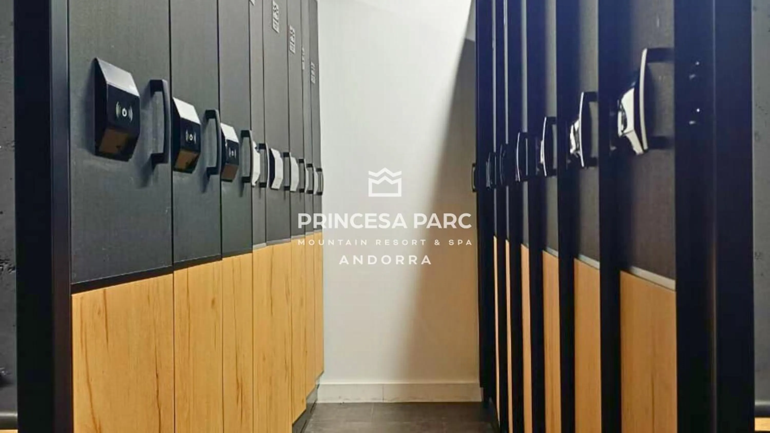 Skiing in Hotel Princesa Parc Excellence