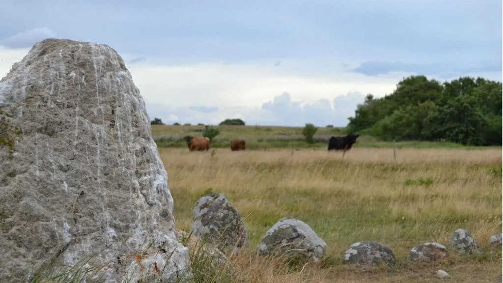 Natural landscape in Bed & Breakfast Sirius