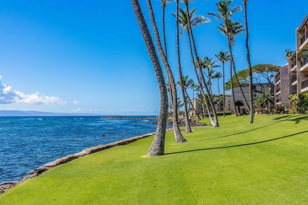 Lauloa 105 · LOA 105 2BD OceanFront Getaway w AC Pool