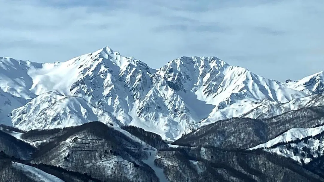 Garden in WHITE HOTEL GRAND HAKUBA