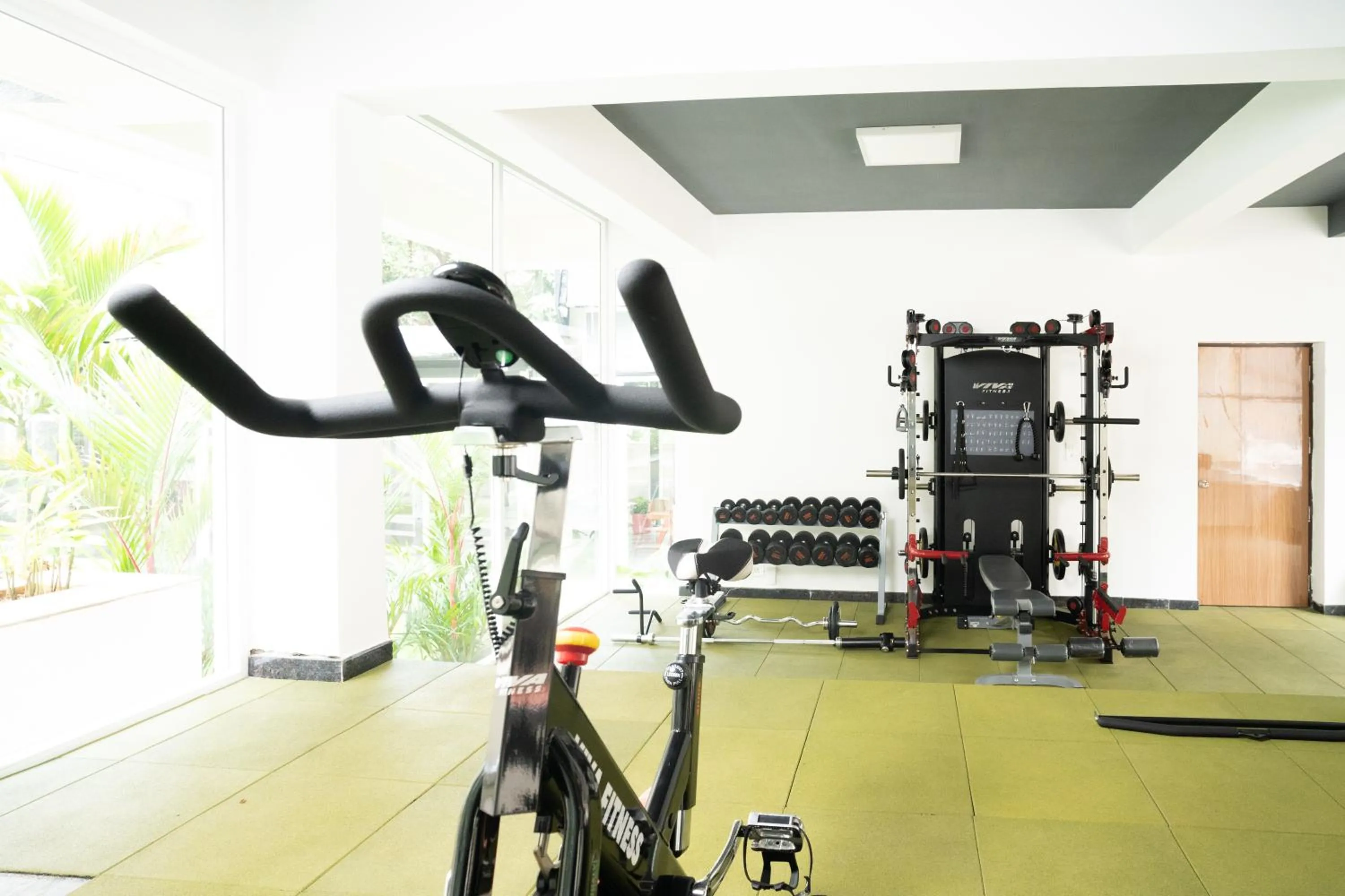 Activities in Carnival De Goa