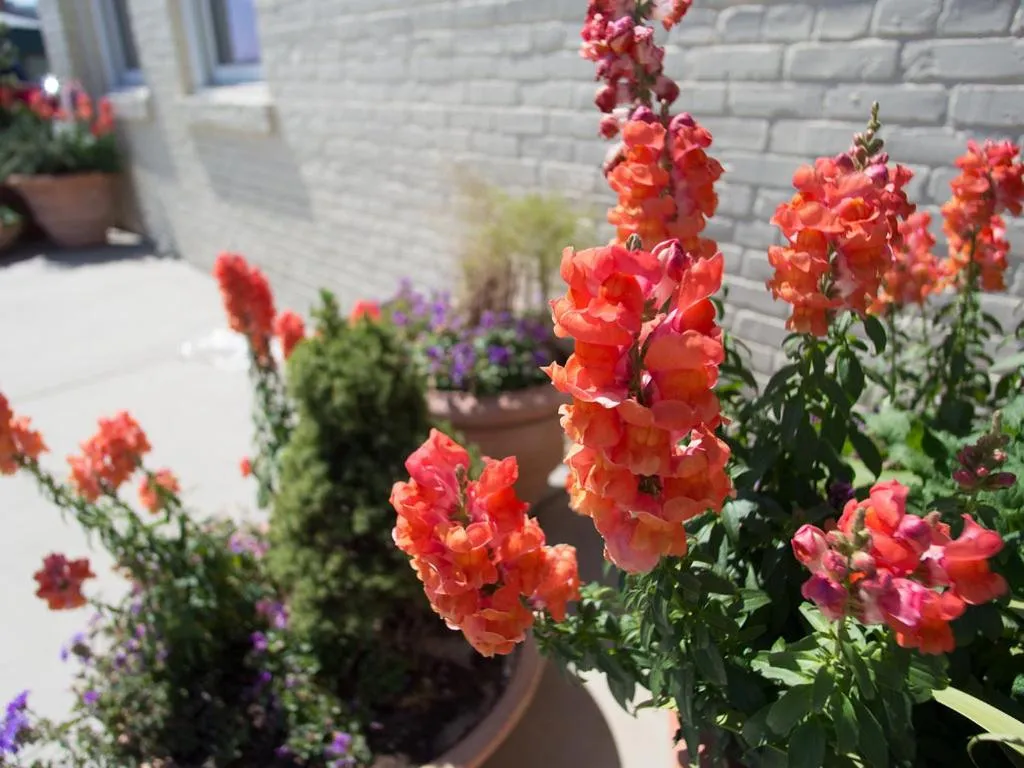 Property building in The Inn At The Crossroads