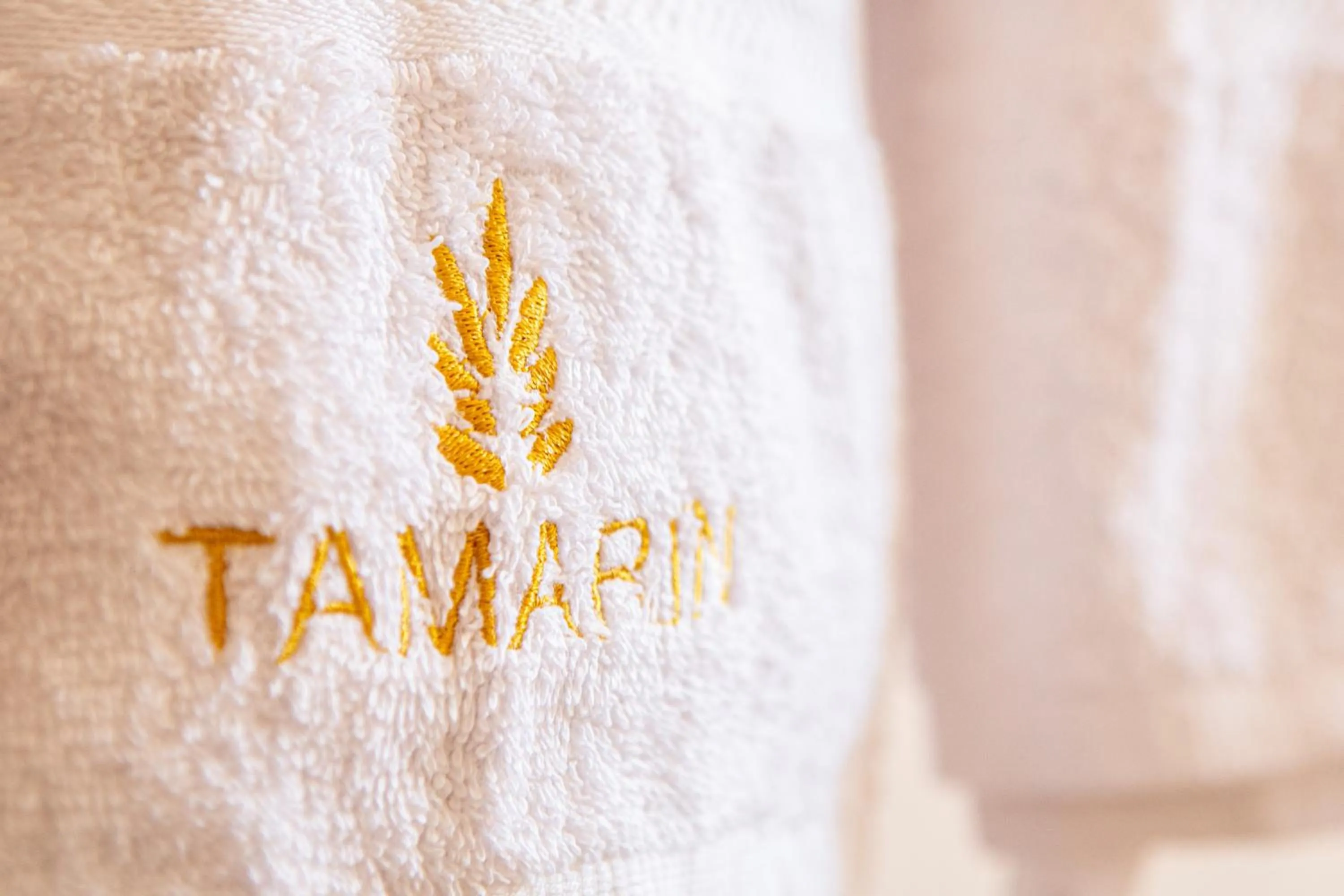 Tamarin Hôtel Cotonou