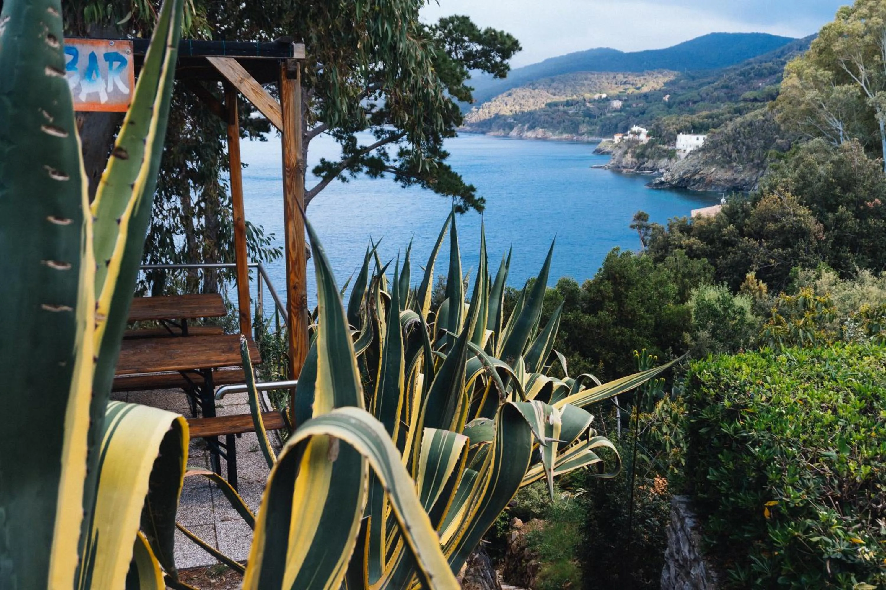 Garden view in Residence Intur