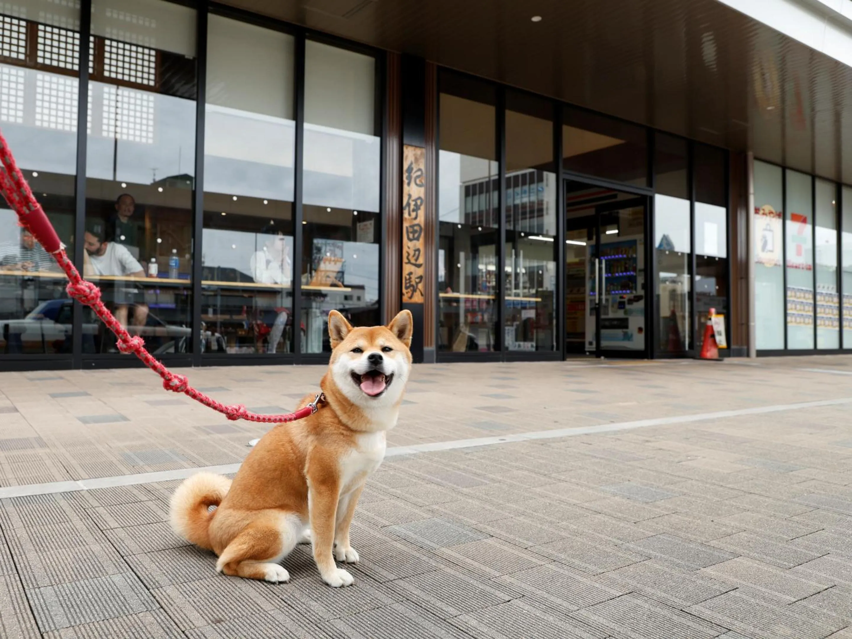 Off site in Hotel Kii Tanabe